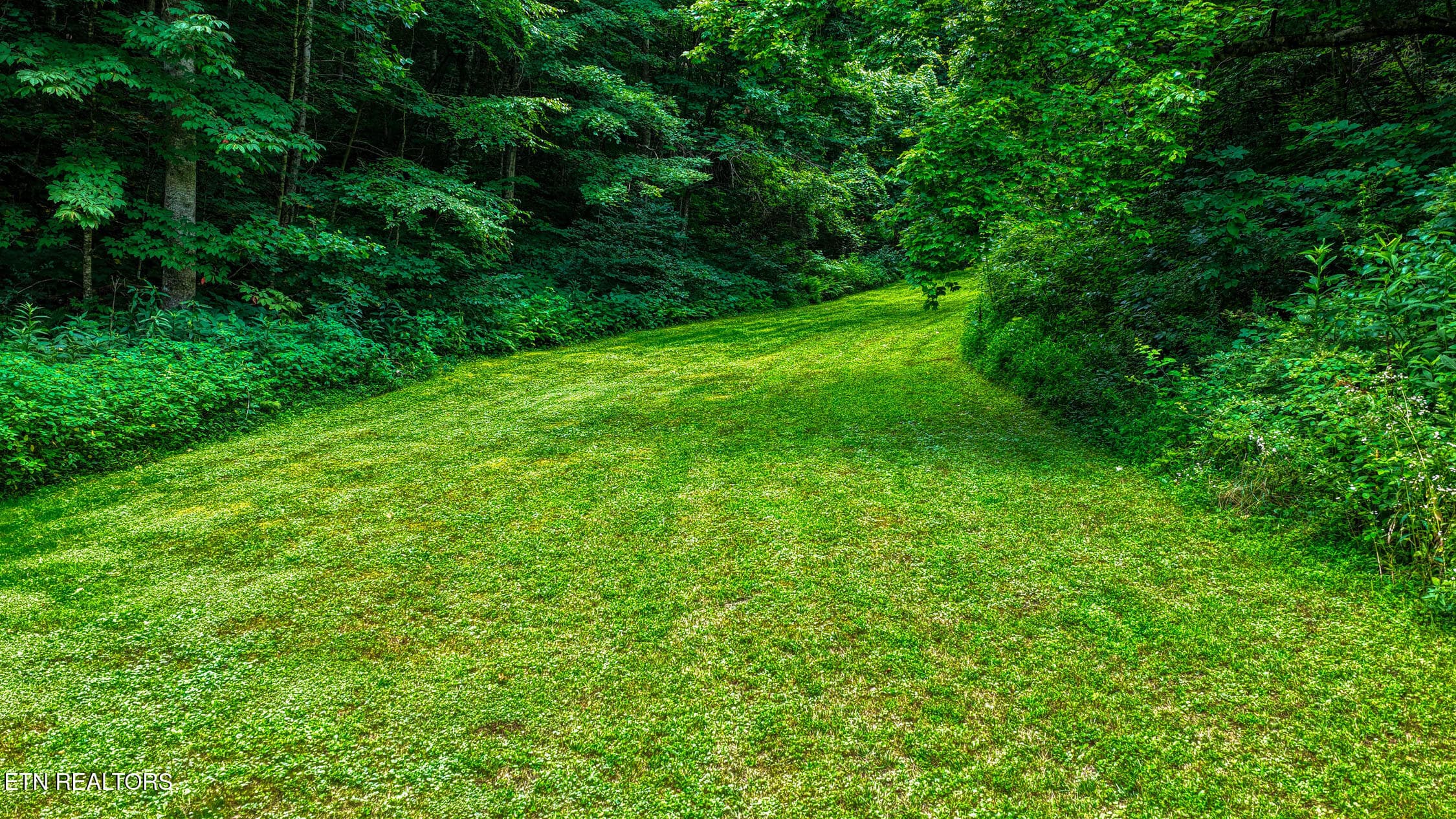 5316 Hwy 66. Sneedv MLSa (50 of 61) - 5316 Tennessee 66, Sneedville, TN 37869, Sneedville
