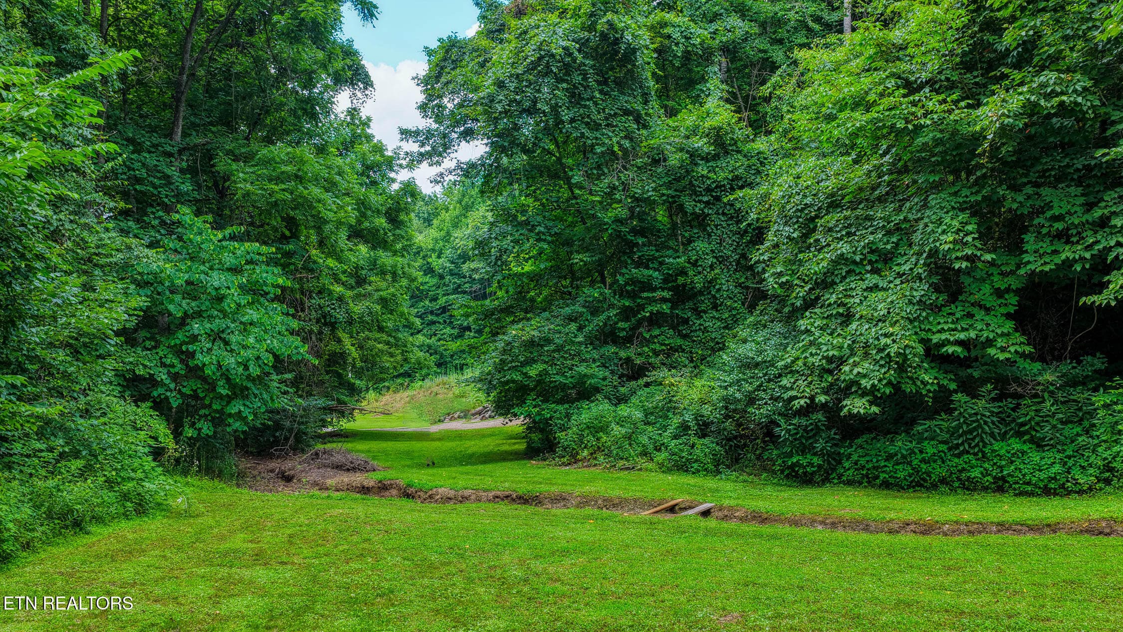 5316 Hwy 66. Sneedv MLSa (51 of 61) - 5316 Tennessee 66, Sneedville, TN 37869, Sneedville