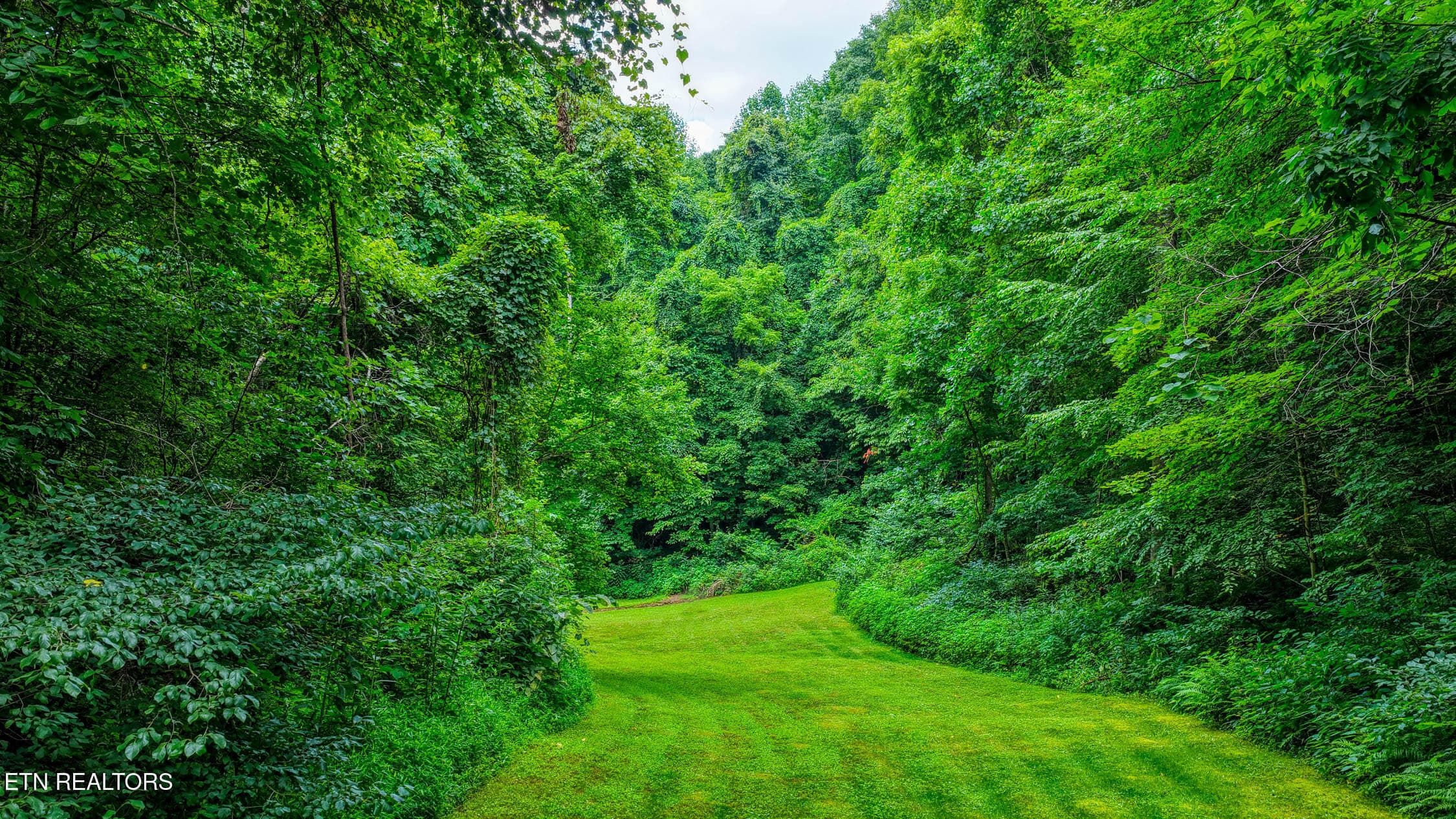 5316 Hwy 66. Sneedv MLSa (53 of 61) - 5316 Tennessee 66, Sneedville, TN 37869, Sneedville