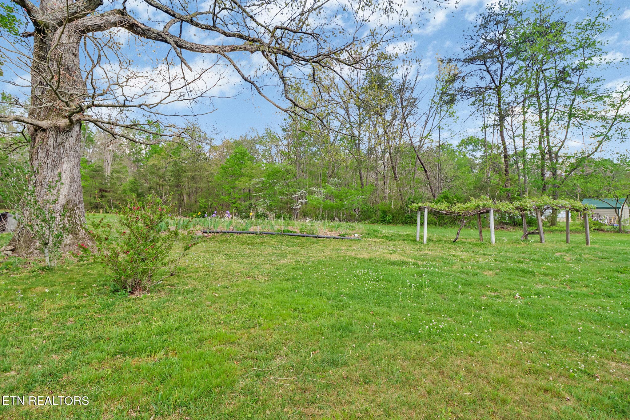 if1a8745-if1a8749 - 1243 Franklin Loop 5 acres, Clarkrange, TN 38553, Clarkrange