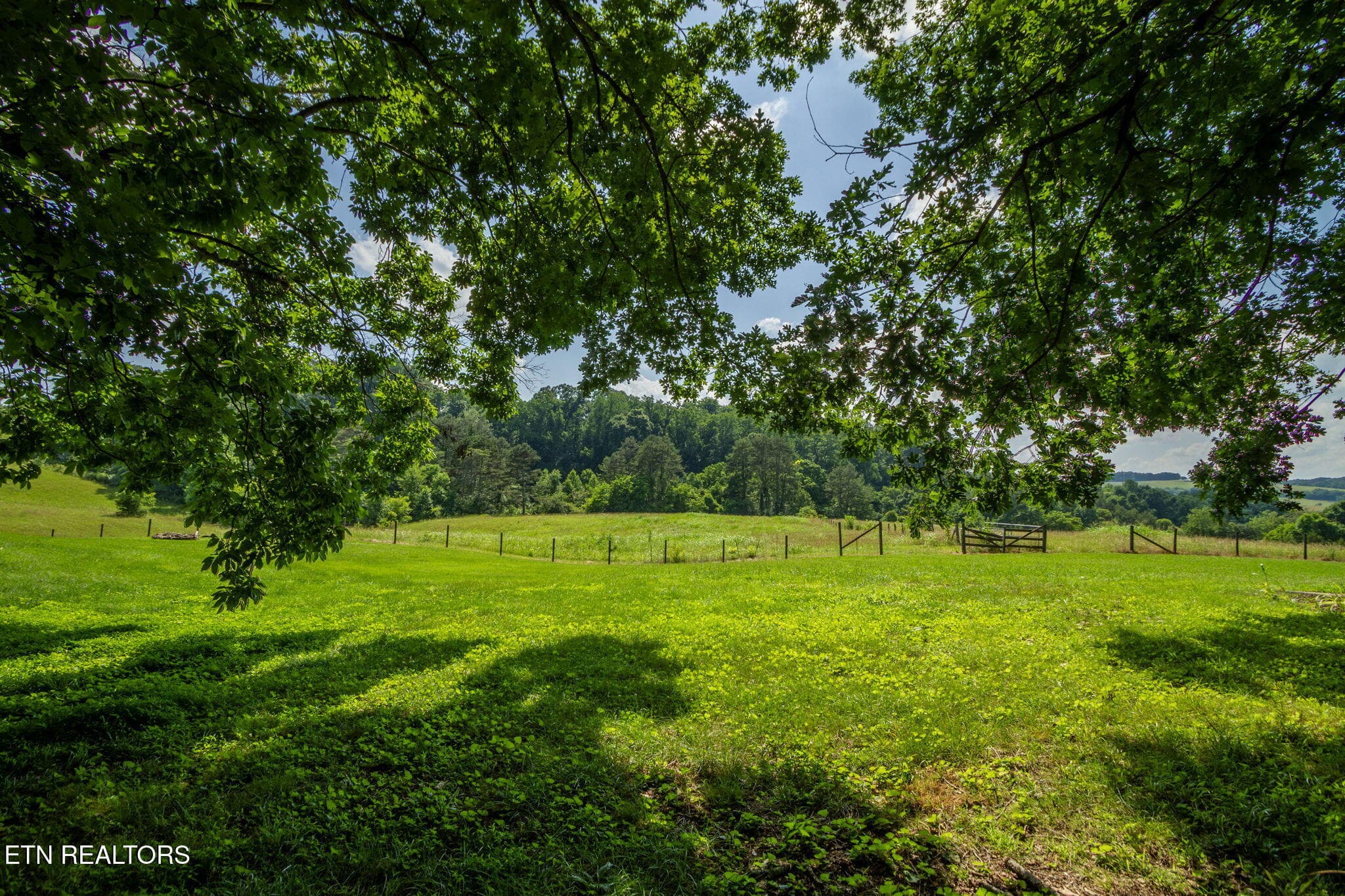 IMG_1397-HDR - 1435 Collins Rd, New Market, TN 37820, New Market
