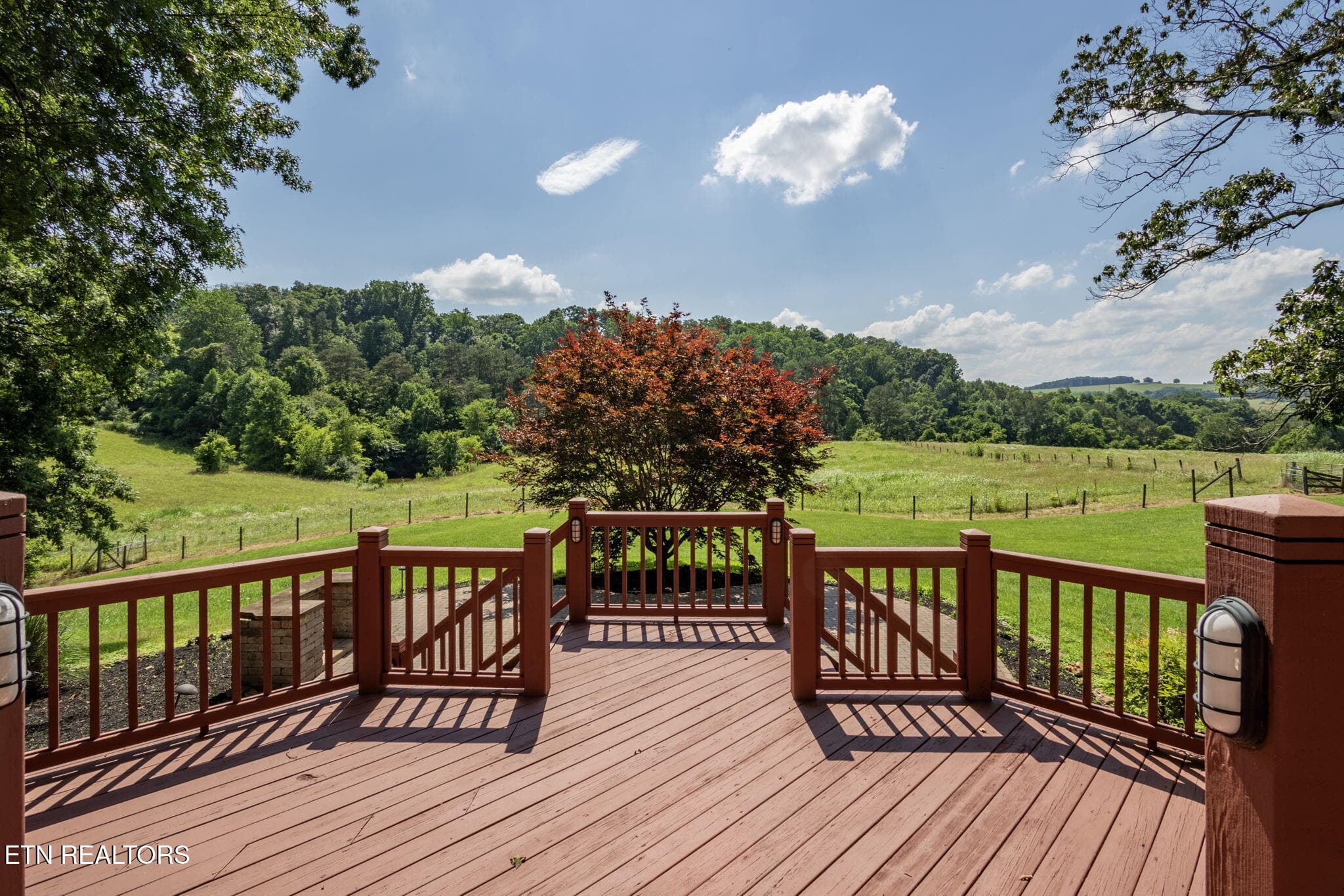 IMG_3349-HDR - 1435 Collins Rd, New Market, TN 37820, New Market