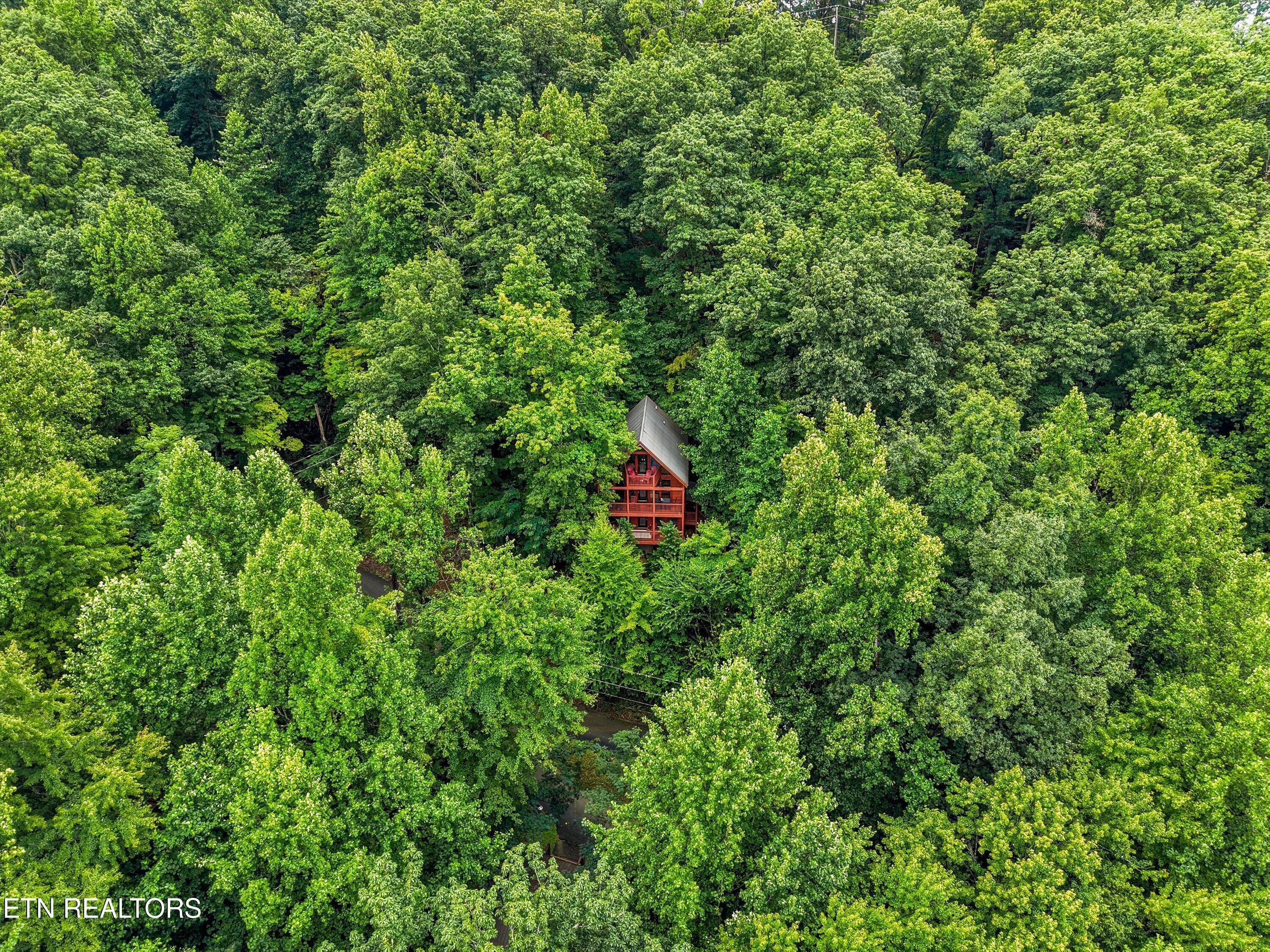 45-1322 Ridgefield Dr 006 - 1322 Ridgefield Drive, Sevierville, TN 37876