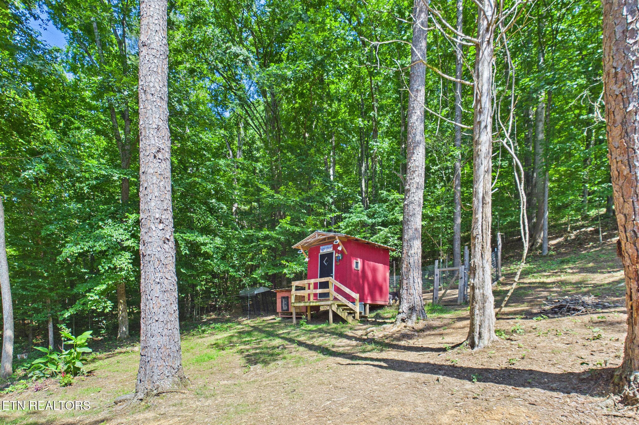 Chicken Goat Coop - 361 County Road 38, Riceville, TN 37370, Riceville