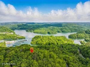 20250514182252130674000000 - Tr3 Mountain Shores Rd, Tazewell, TN 37879, Tazewell