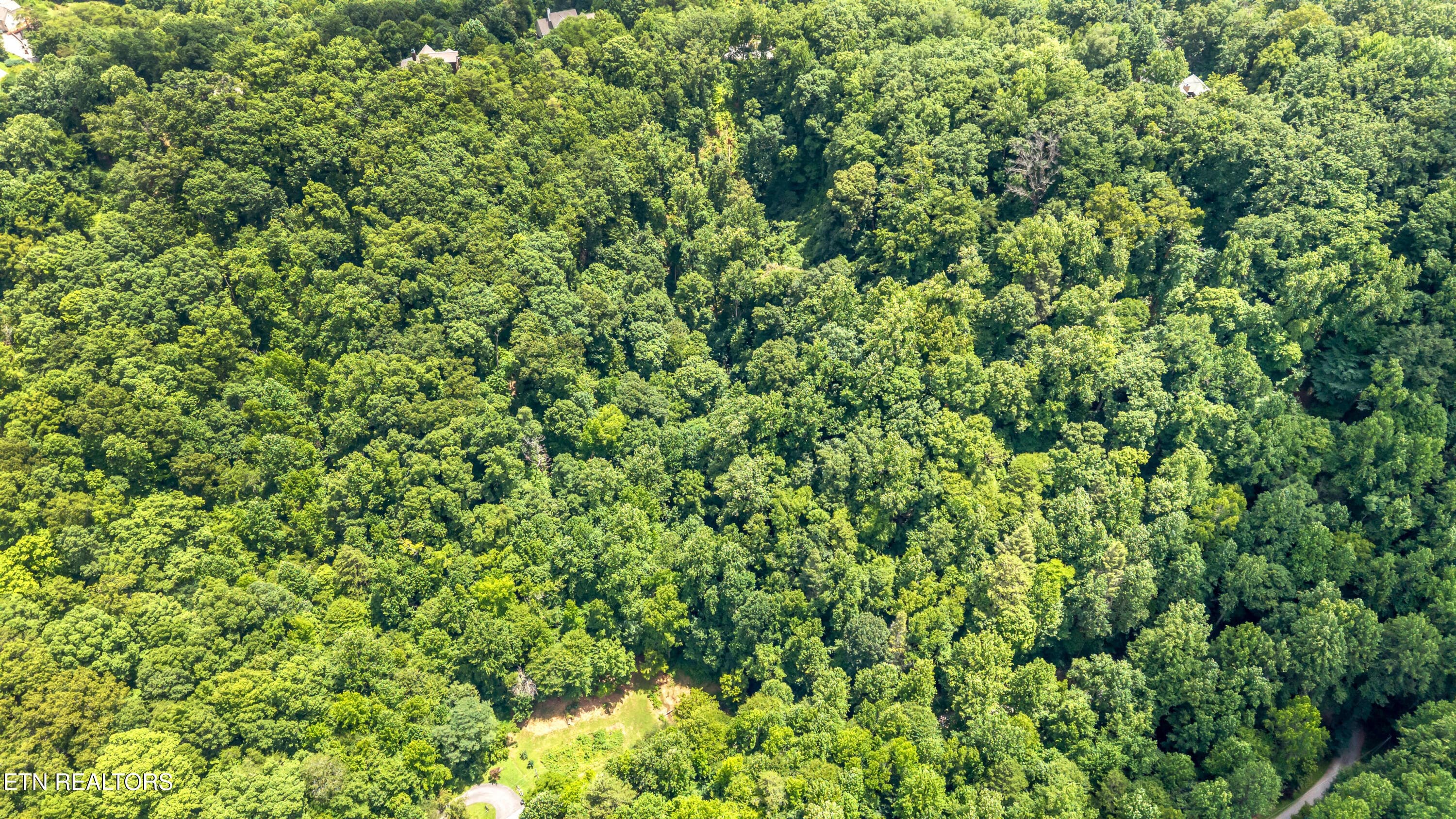 DJI_20260720141500_0035_D-2 - 429 Trails End Rd, Walland, TN 37886