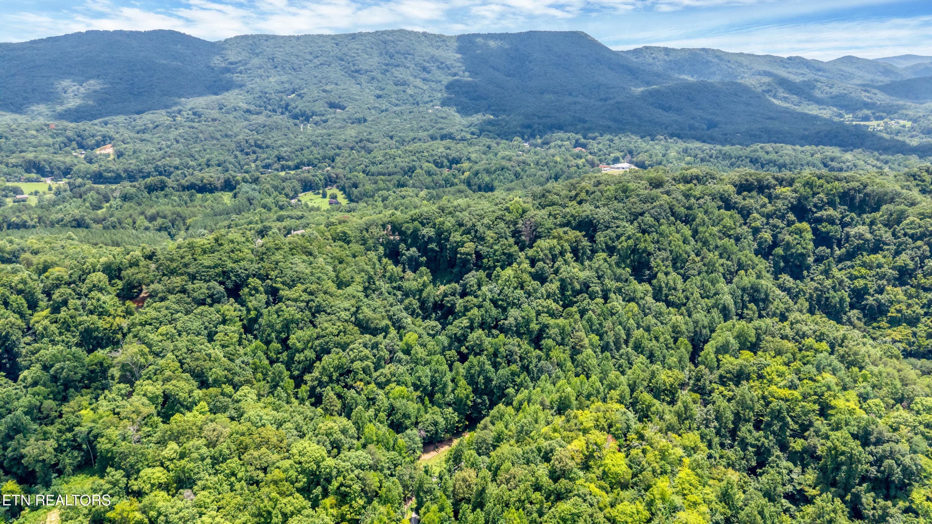 DJI_20260720141704_0047_D-2 - 429 Trails End Rd, Walland, TN 37886