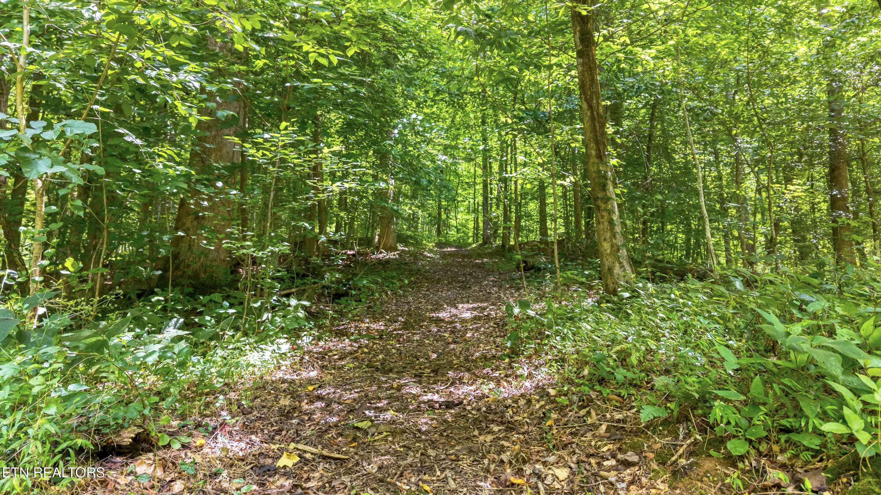 DJI_20260720142821_0107_D-2 - 429 Trails End Rd, Walland, TN 37886