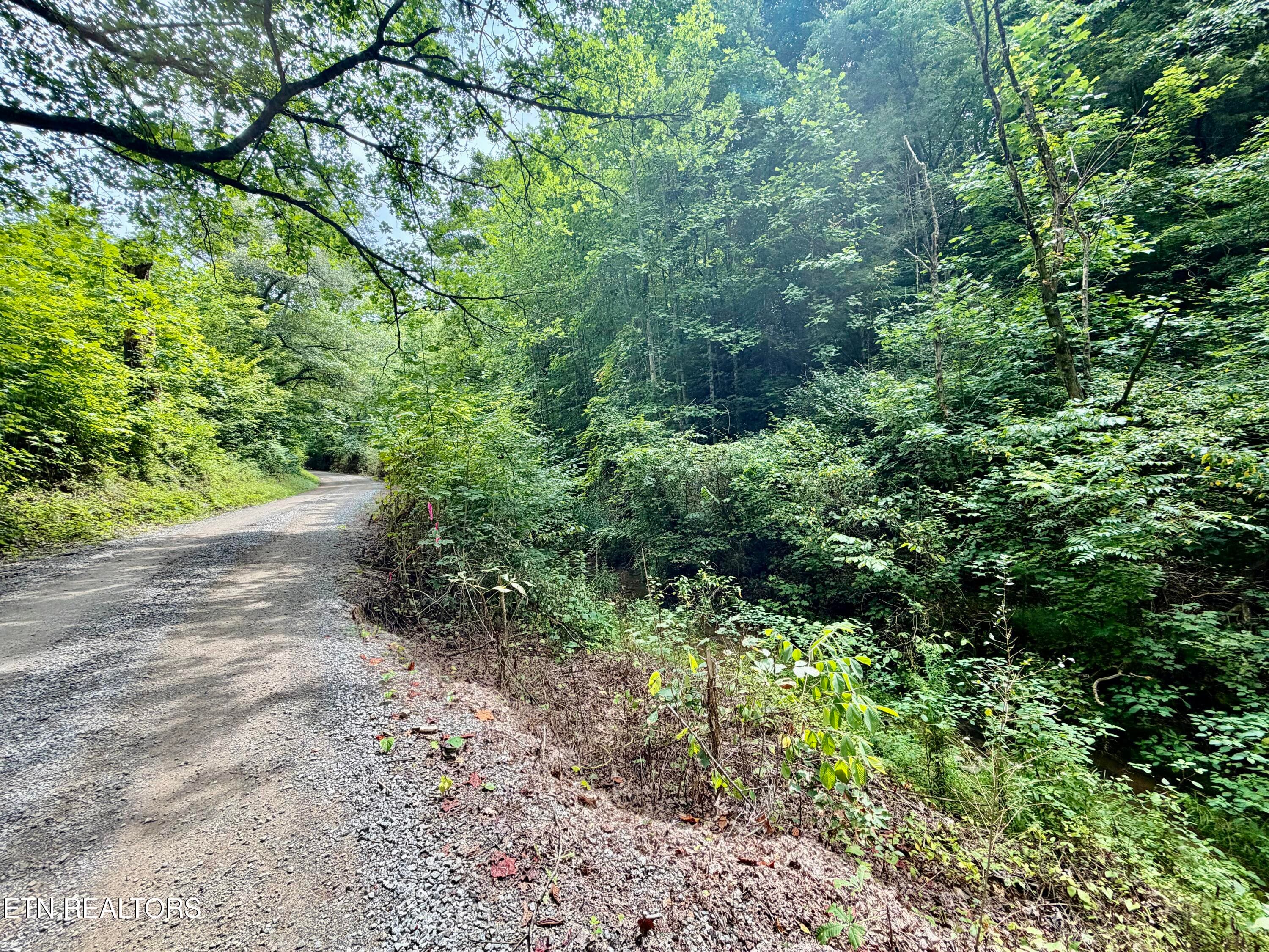 IMG_5167 - 1545 Estes Rd, Tazewell, TN 37879, Tazewell