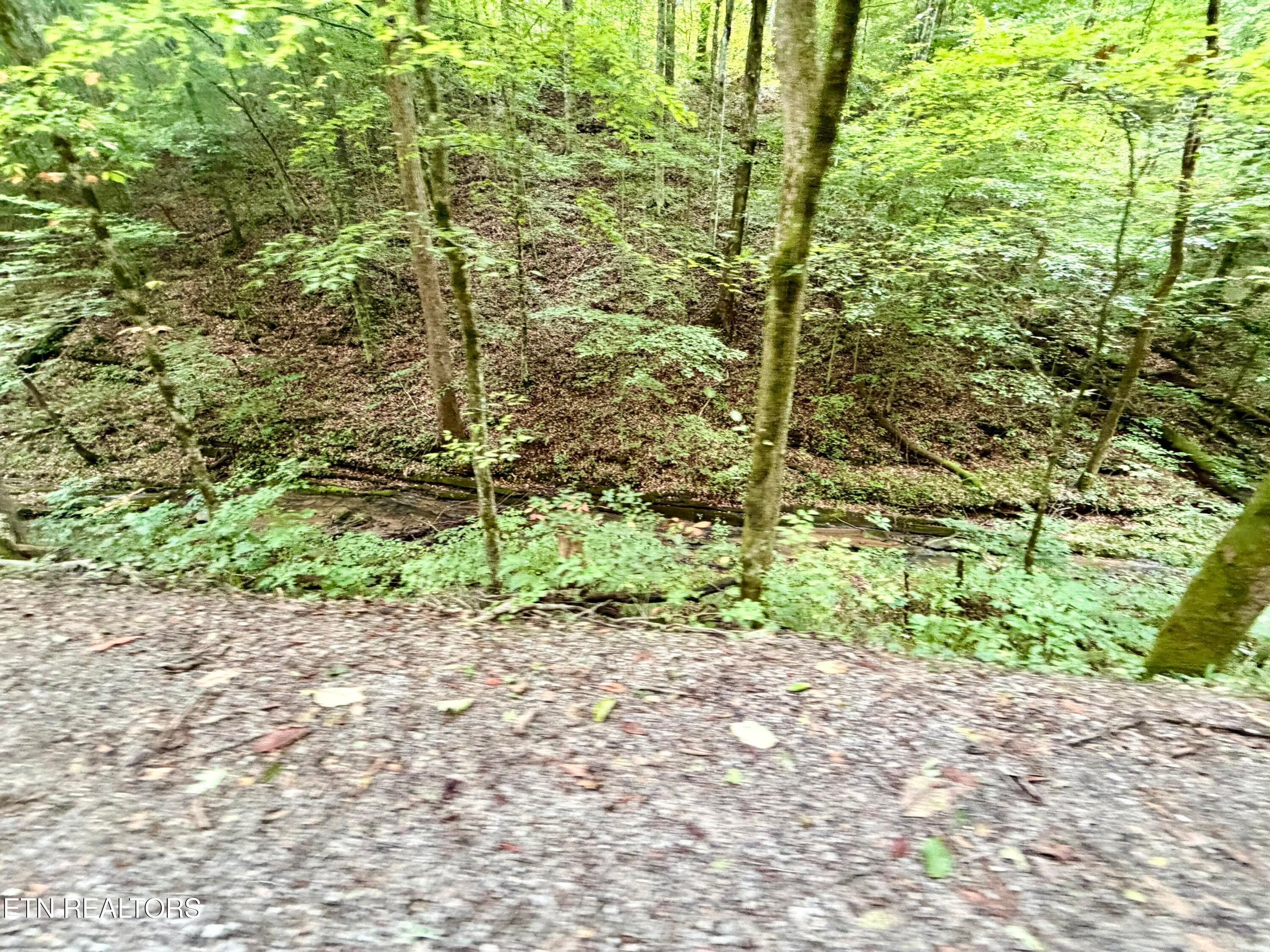 IMG_5164 - 1545 Estes Rd, Tazewell, TN 37879, Tazewell