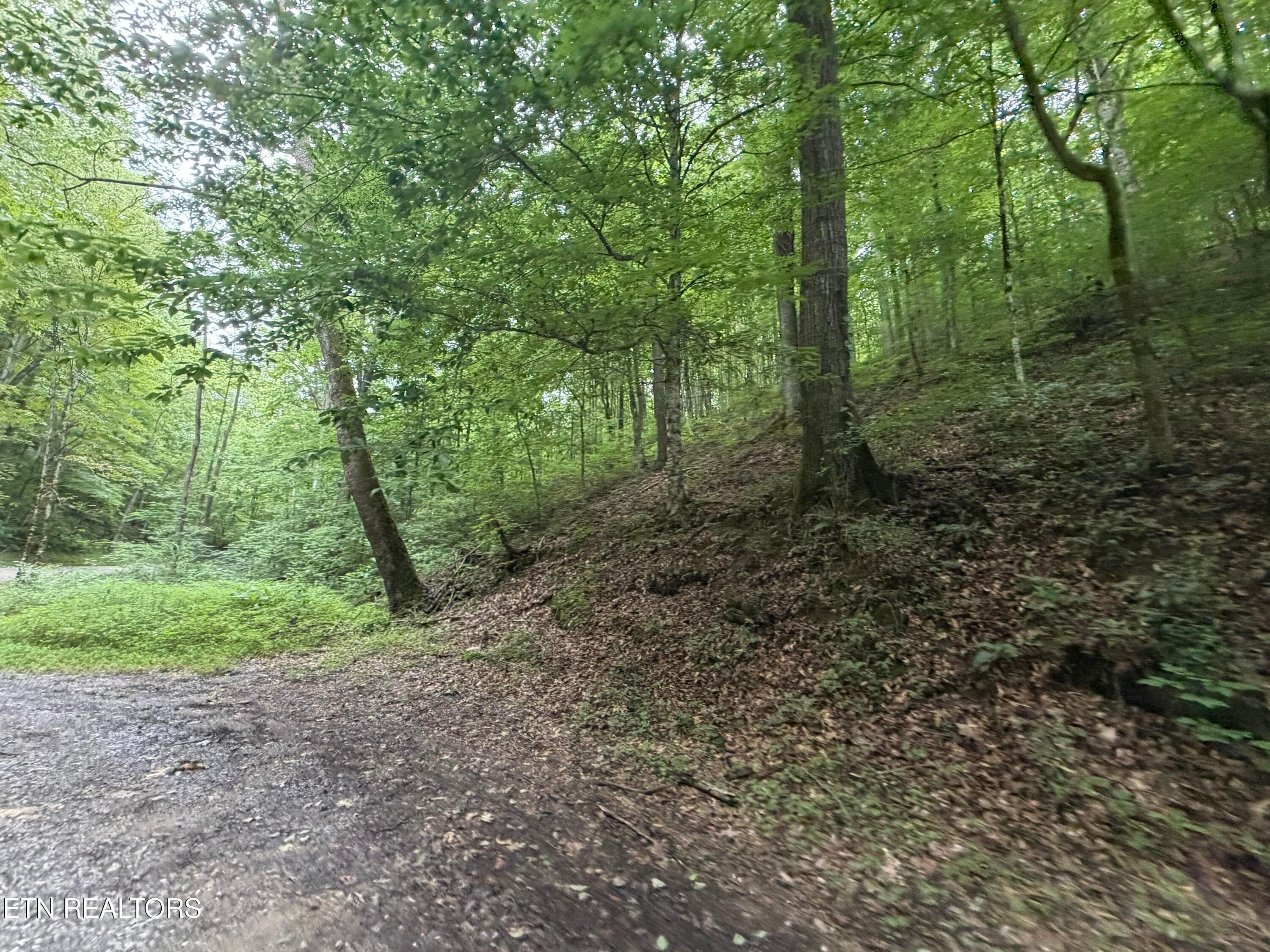 IMG_5160 - 1545 Estes Rd, Tazewell, TN 37879, Tazewell
