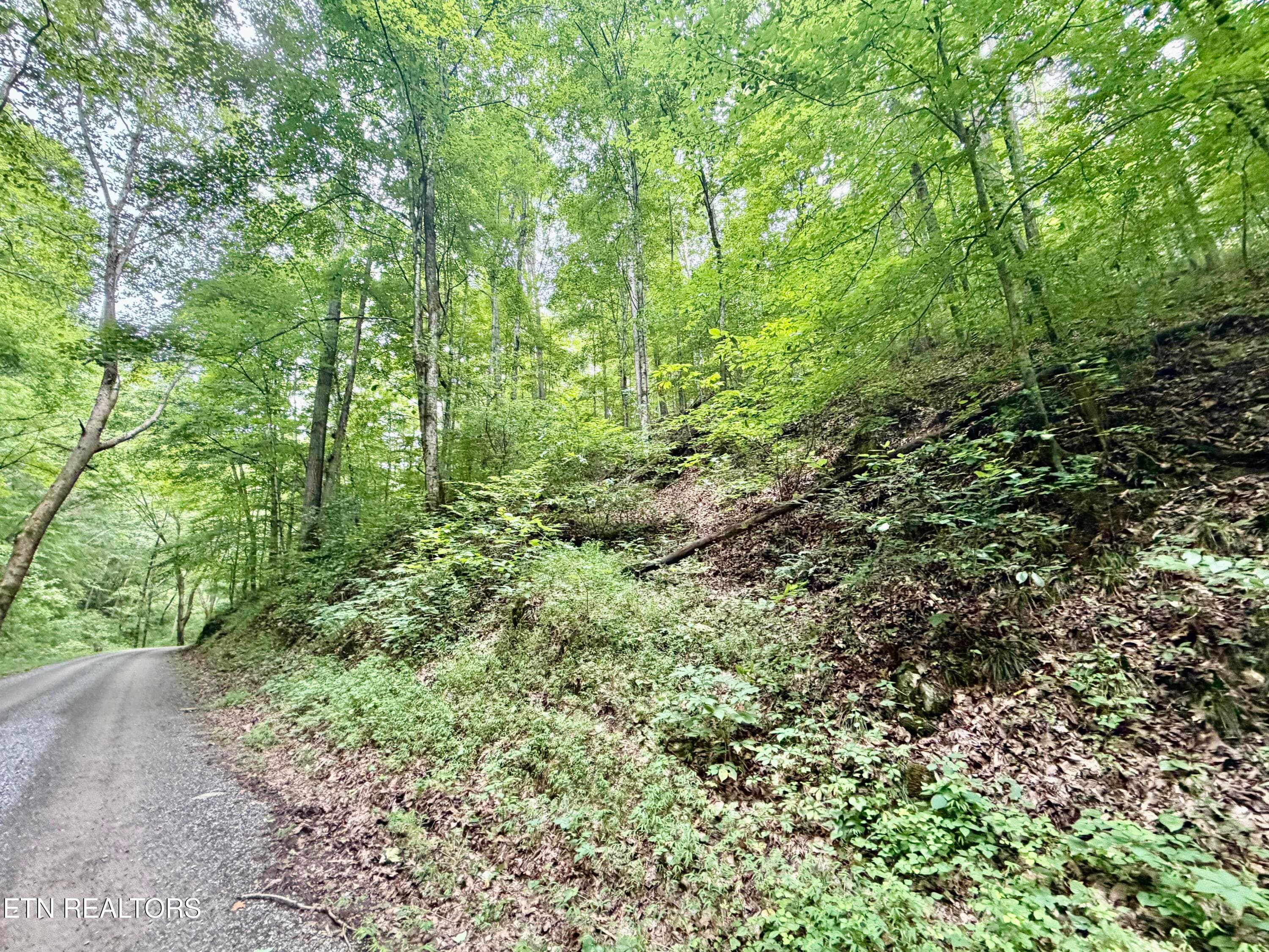 IMG_5159 - 1545 Estes Rd, Tazewell, TN 37879, Tazewell