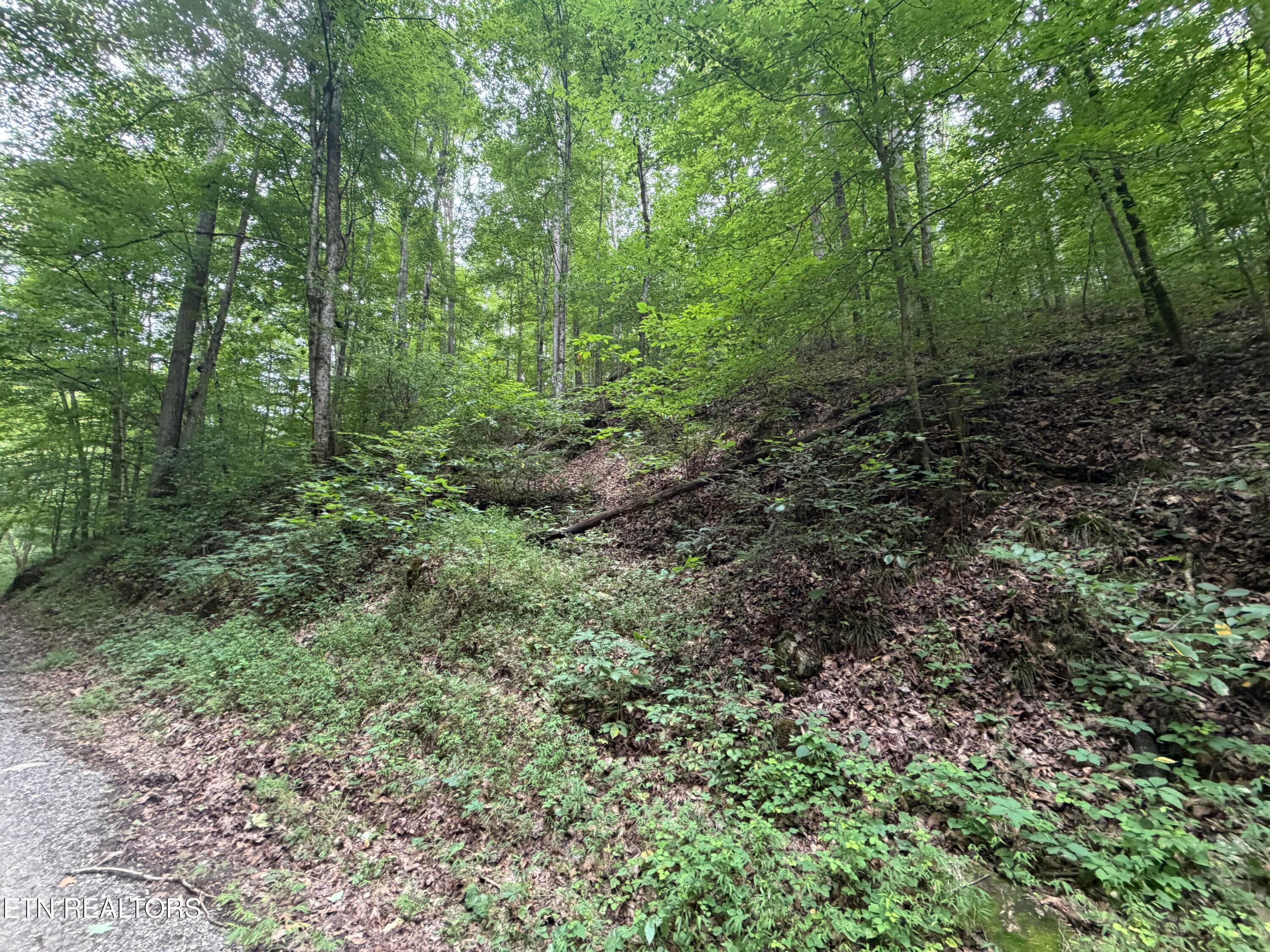 IMG_5158 - 1545 Estes Rd, Tazewell, TN 37879, Tazewell
