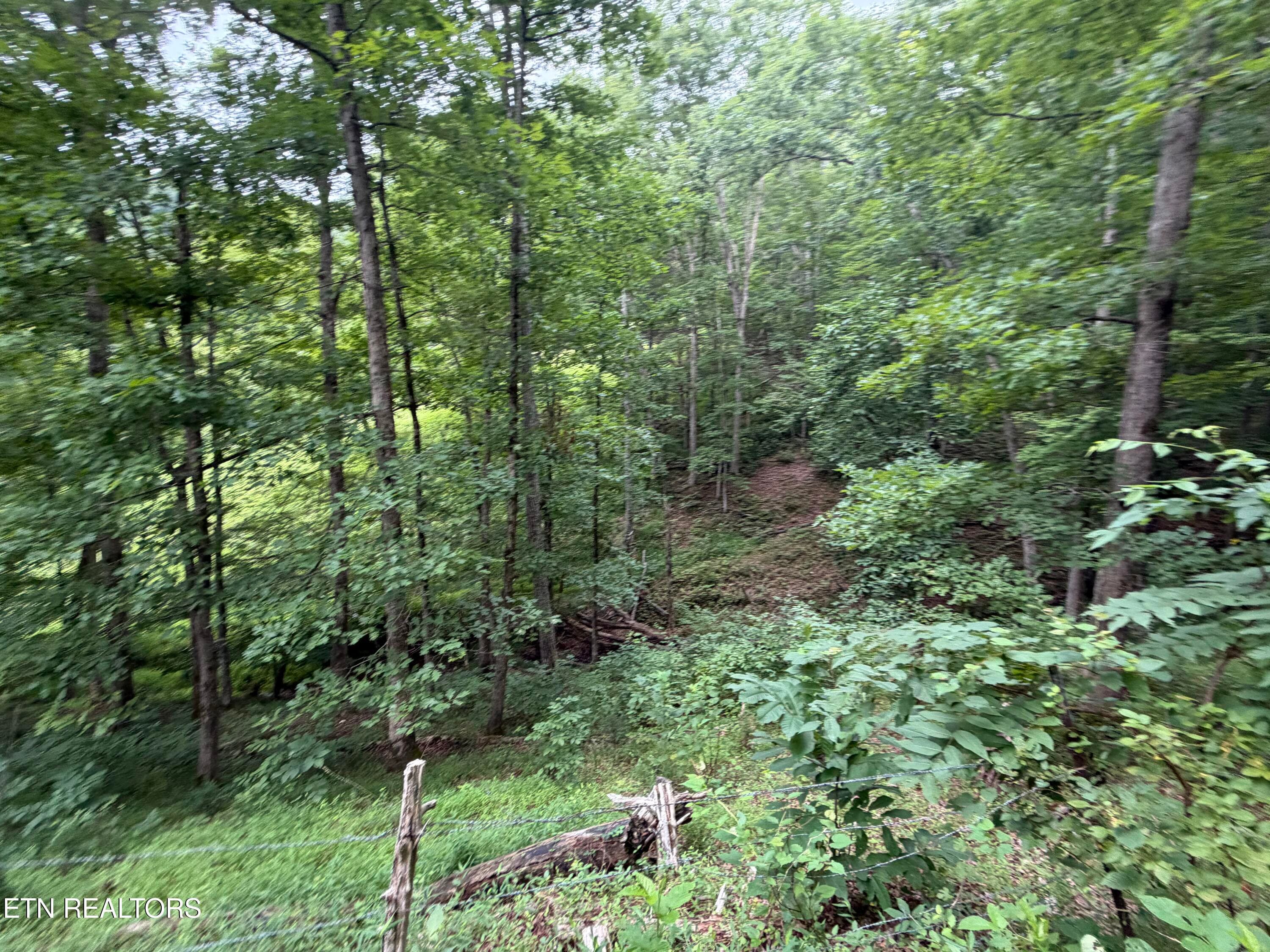 IMG_5151 - 1545 Estes Rd, Tazewell, TN 37879, Tazewell