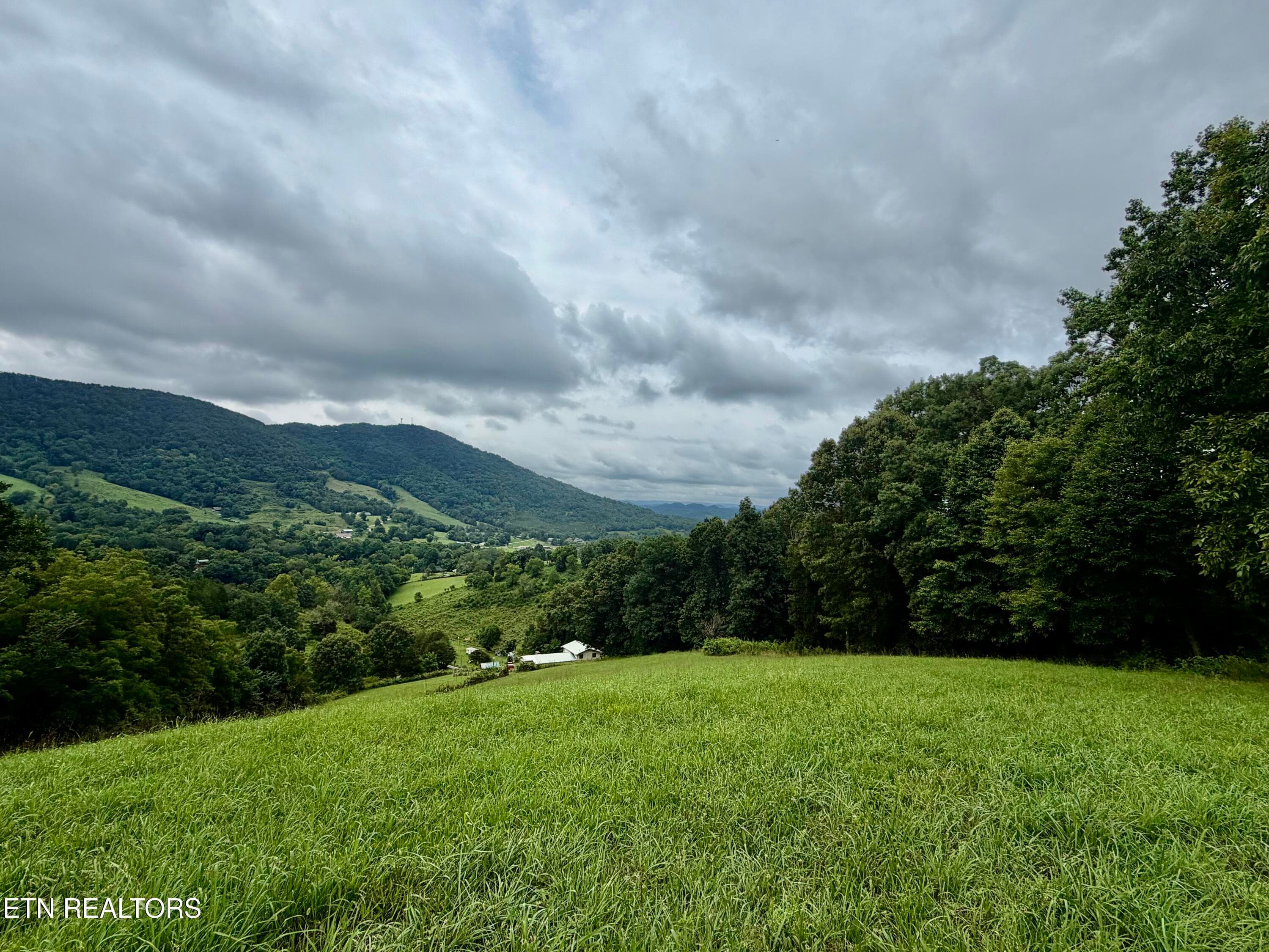 1545 Estes Rd, Tazewell, TN 37879