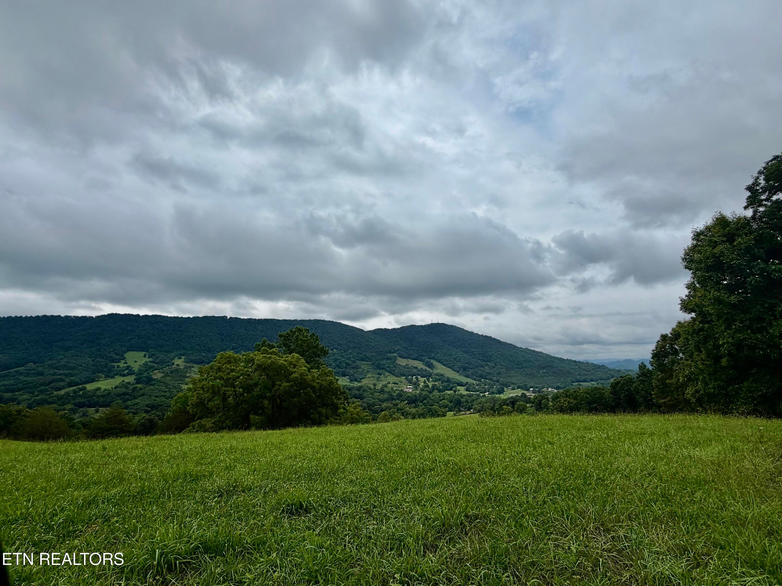 IMG_5143 - 1545 Estes Rd, Tazewell, TN 37879, Tazewell