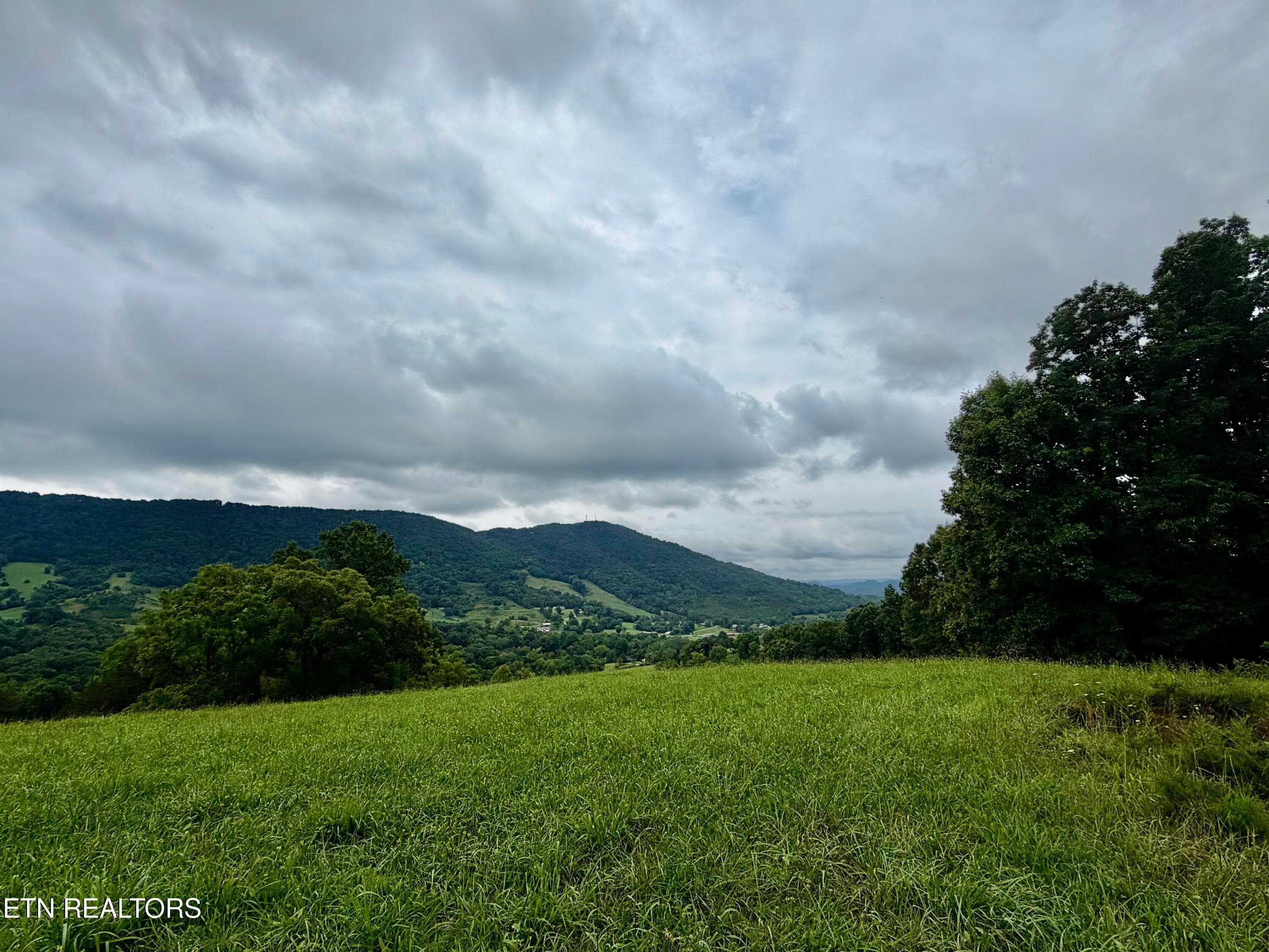 IMG_5142 - 1545 Estes Rd, Tazewell, TN 37879, Tazewell