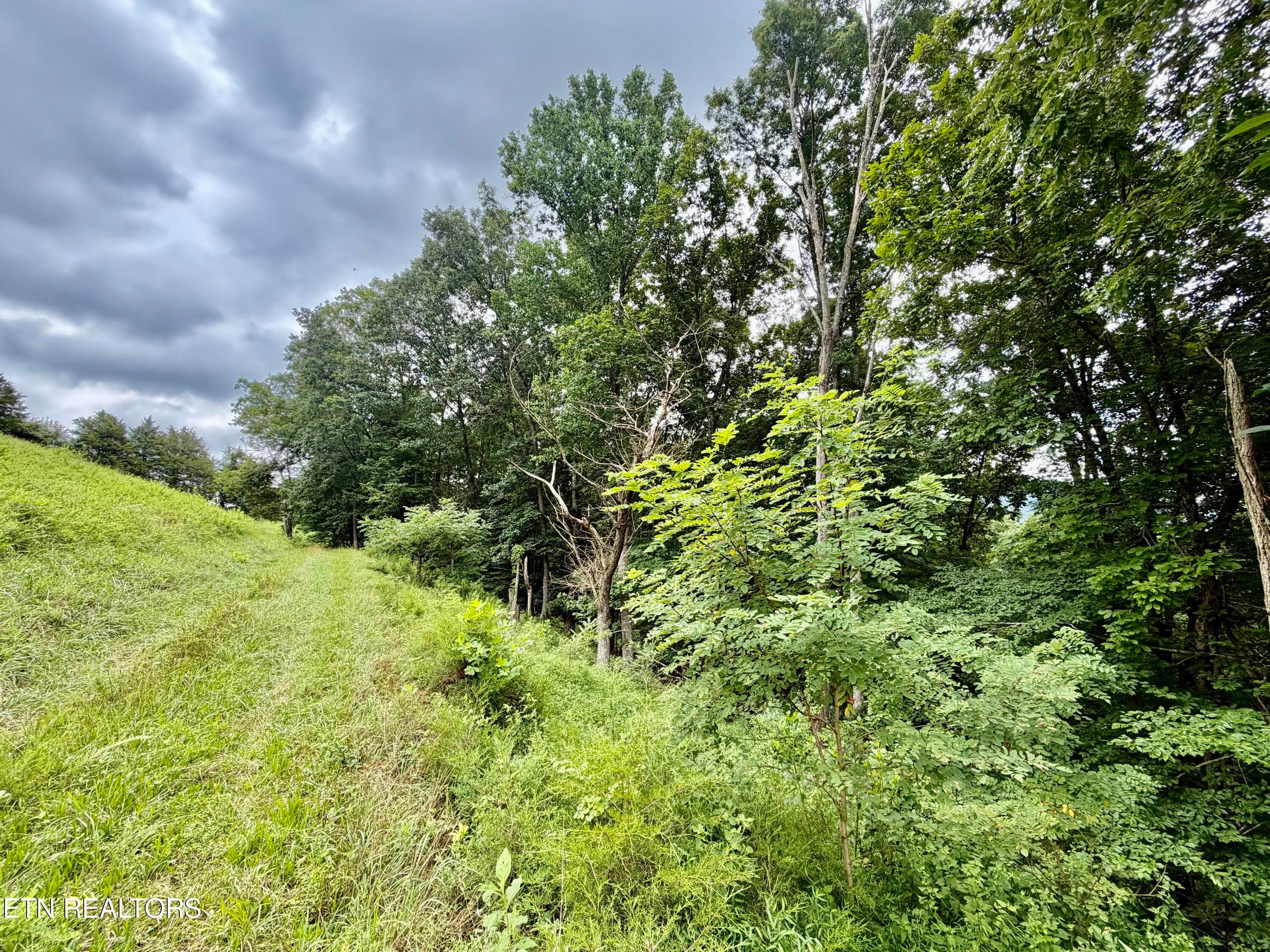 IMG_5140 - 1545 Estes Rd, Tazewell, TN 37879, Tazewell