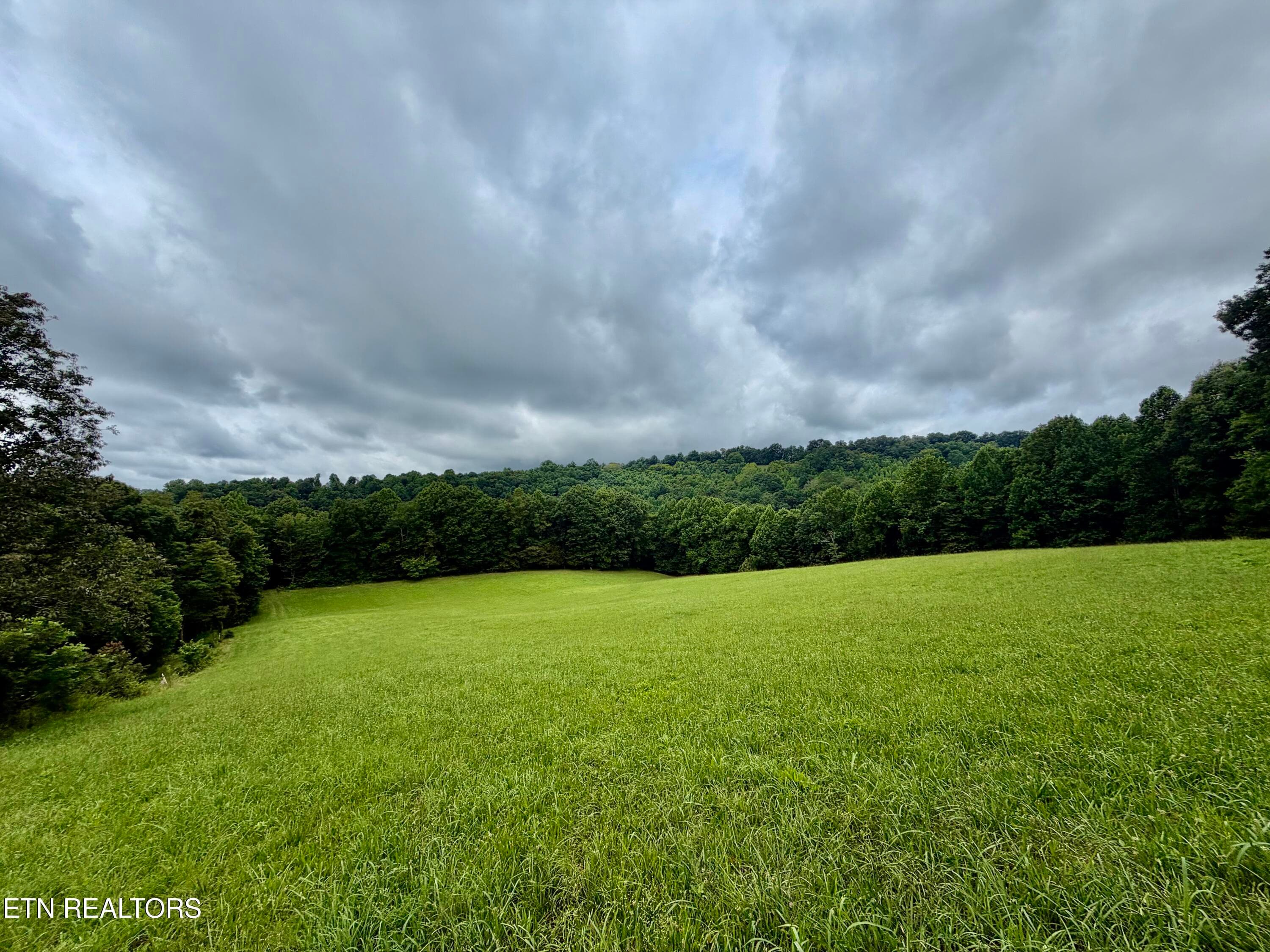 IMG_5138 - 1545 Estes Rd, Tazewell, TN 37879, Tazewell