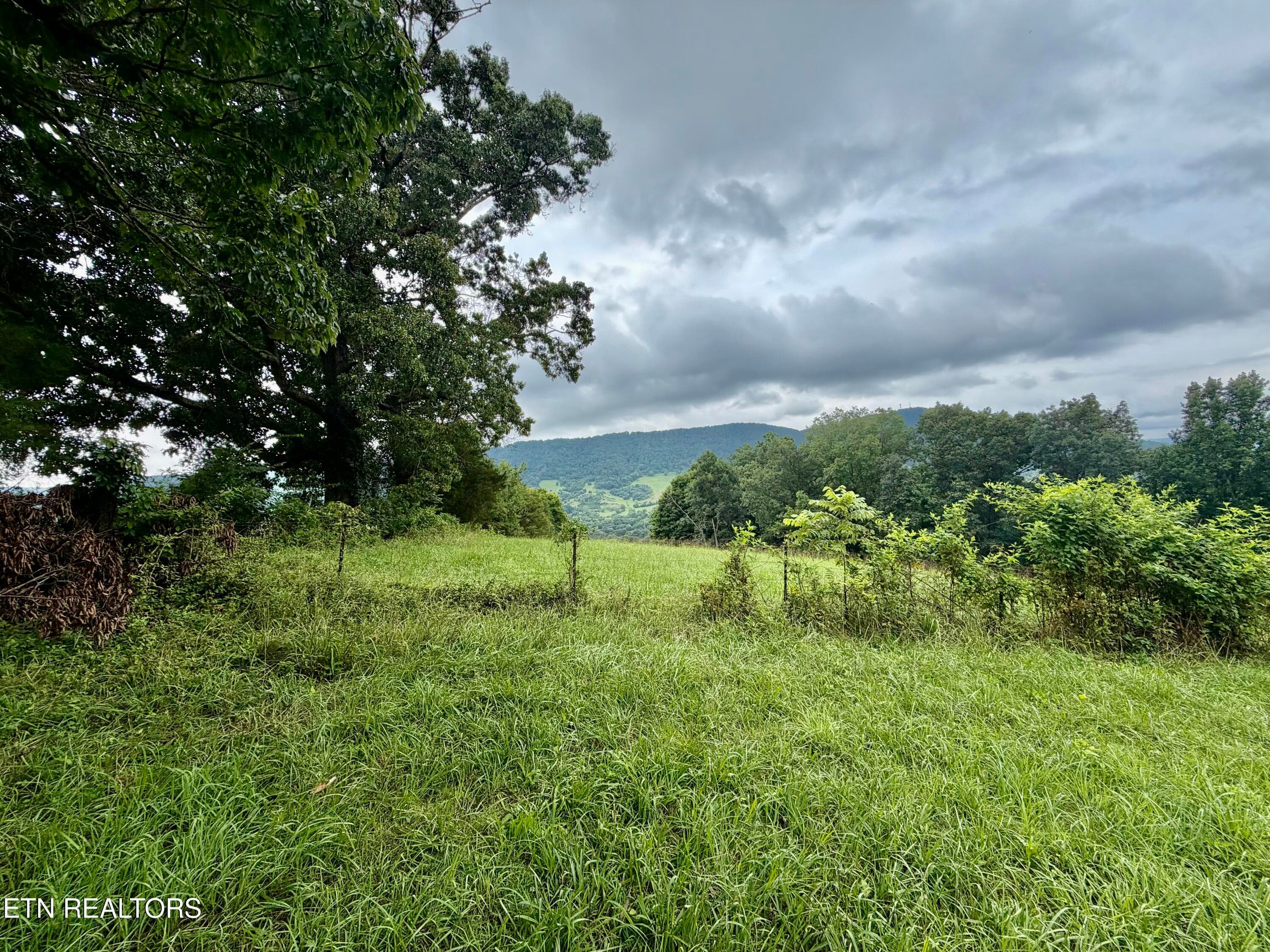 IMG_5133 - 1545 Estes Rd, Tazewell, TN 37879, Tazewell