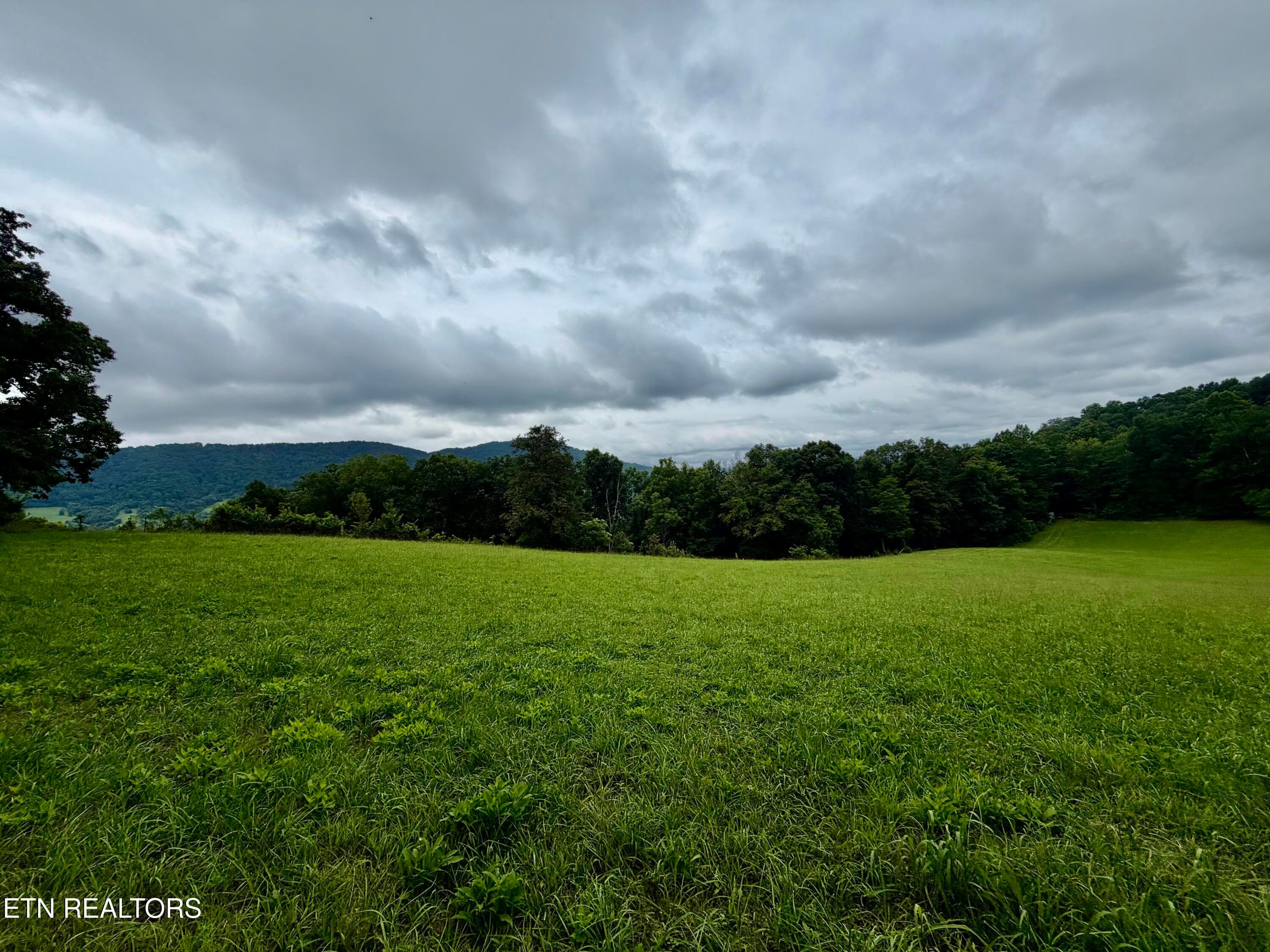 IMG_5132 - 1545 Estes Rd, Tazewell, TN 37879, Tazewell
