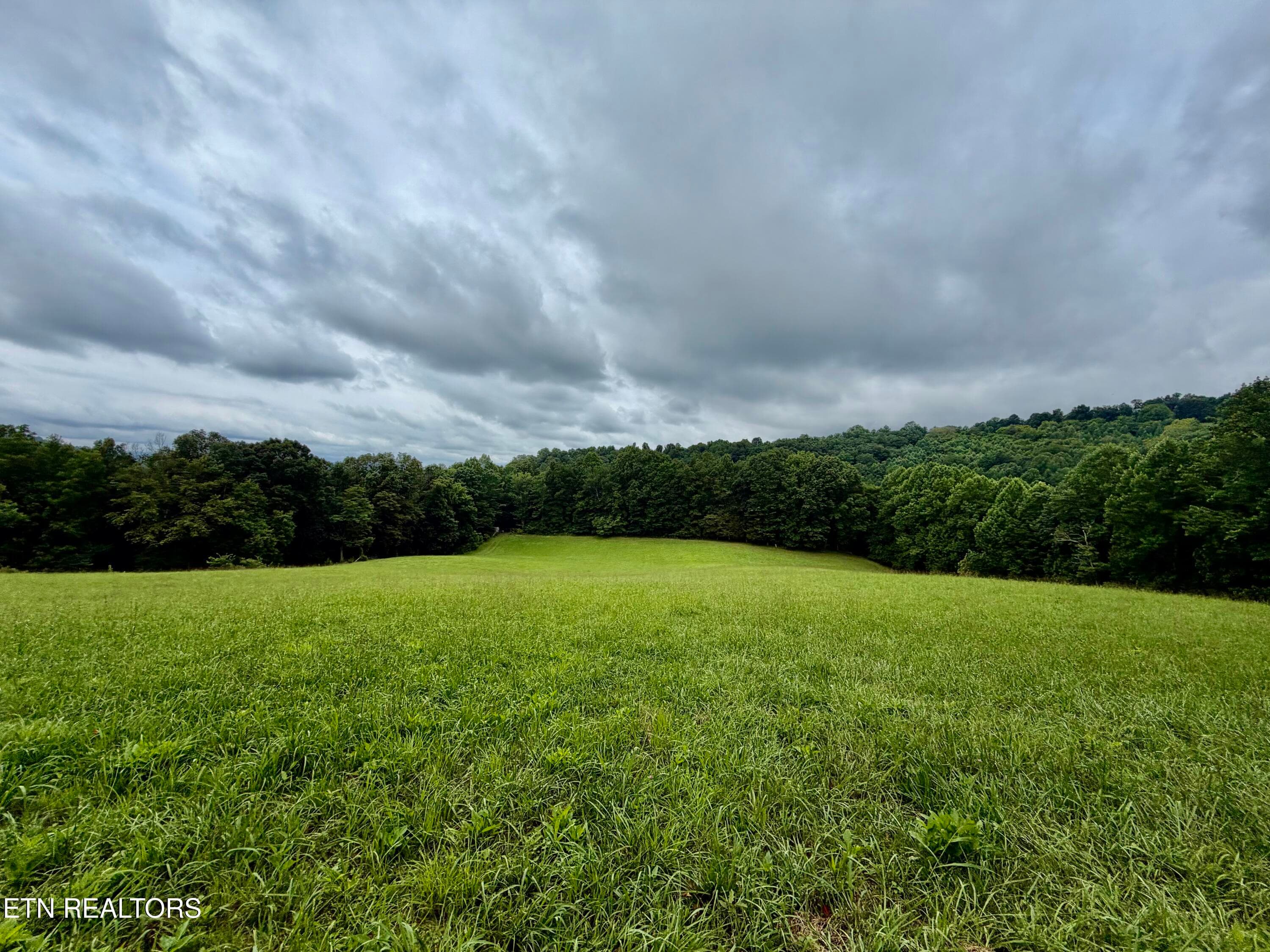 IMG_5131 - 1545 Estes Rd, Tazewell, TN 37879, Tazewell