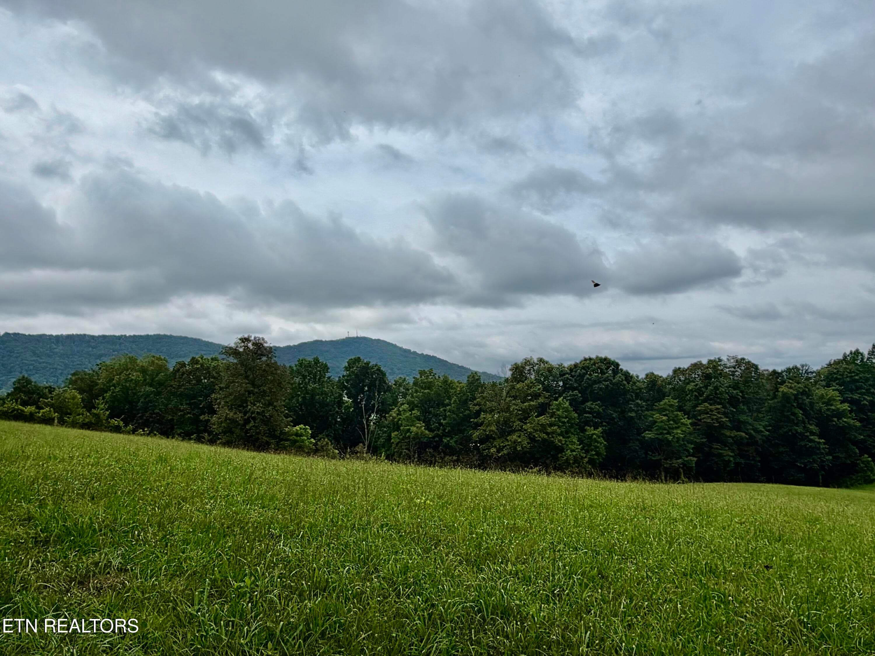 IMG_5130 - 1545 Estes Rd, Tazewell, TN 37879, Tazewell