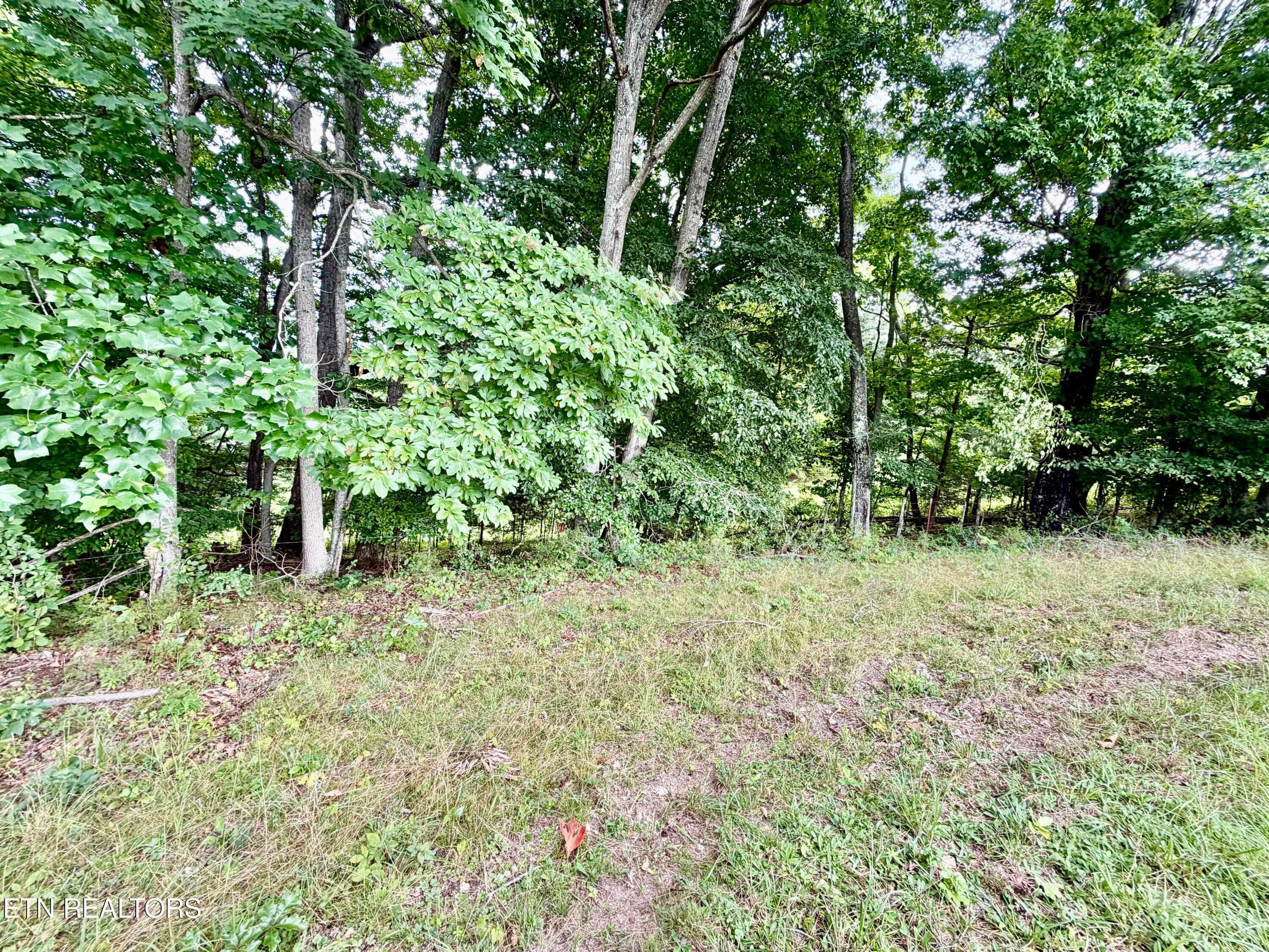 IMG_5128 - 1545 Estes Rd, Tazewell, TN 37879, Tazewell