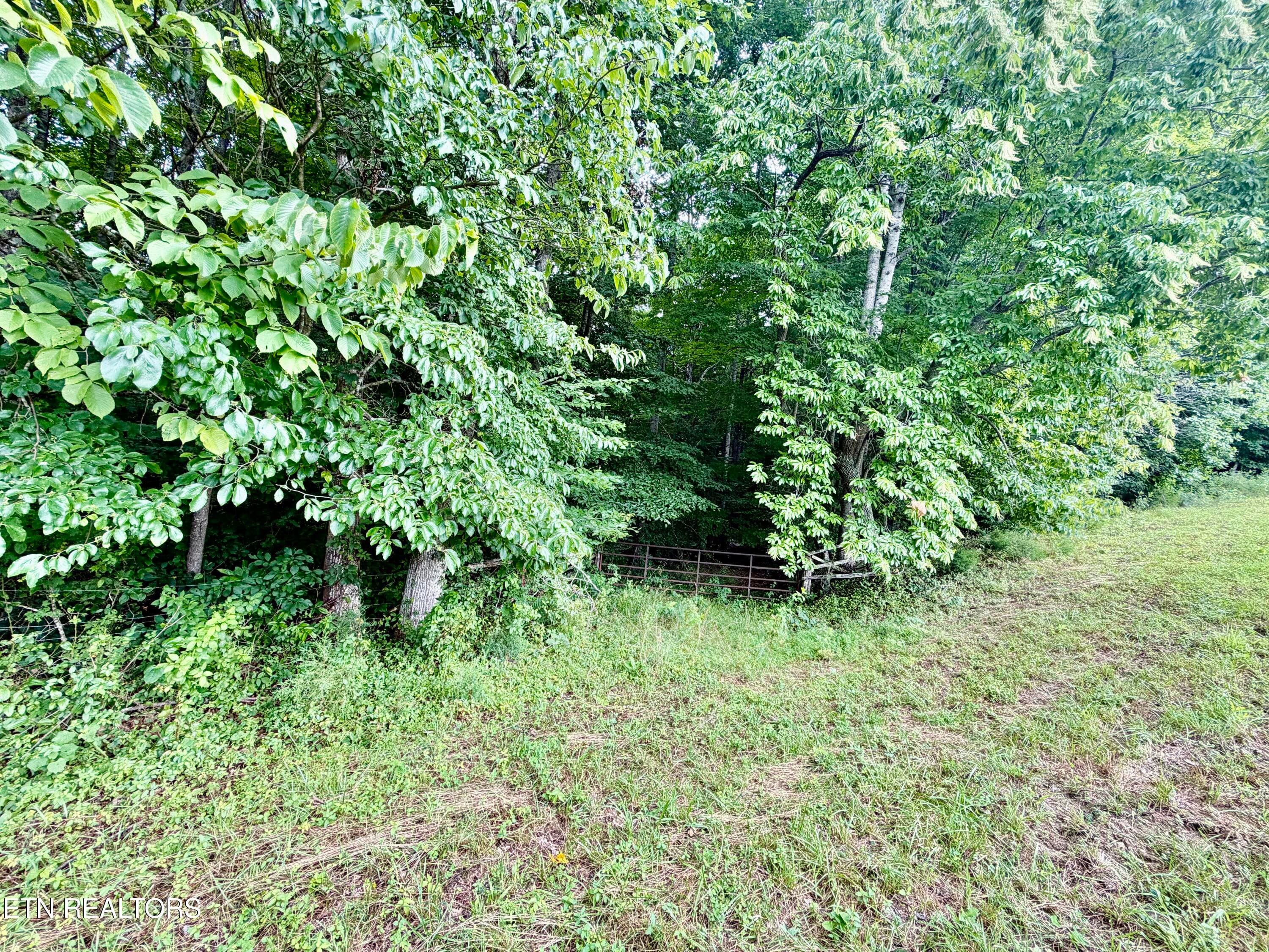 IMG_5127 - 1545 Estes Rd, Tazewell, TN 37879, Tazewell