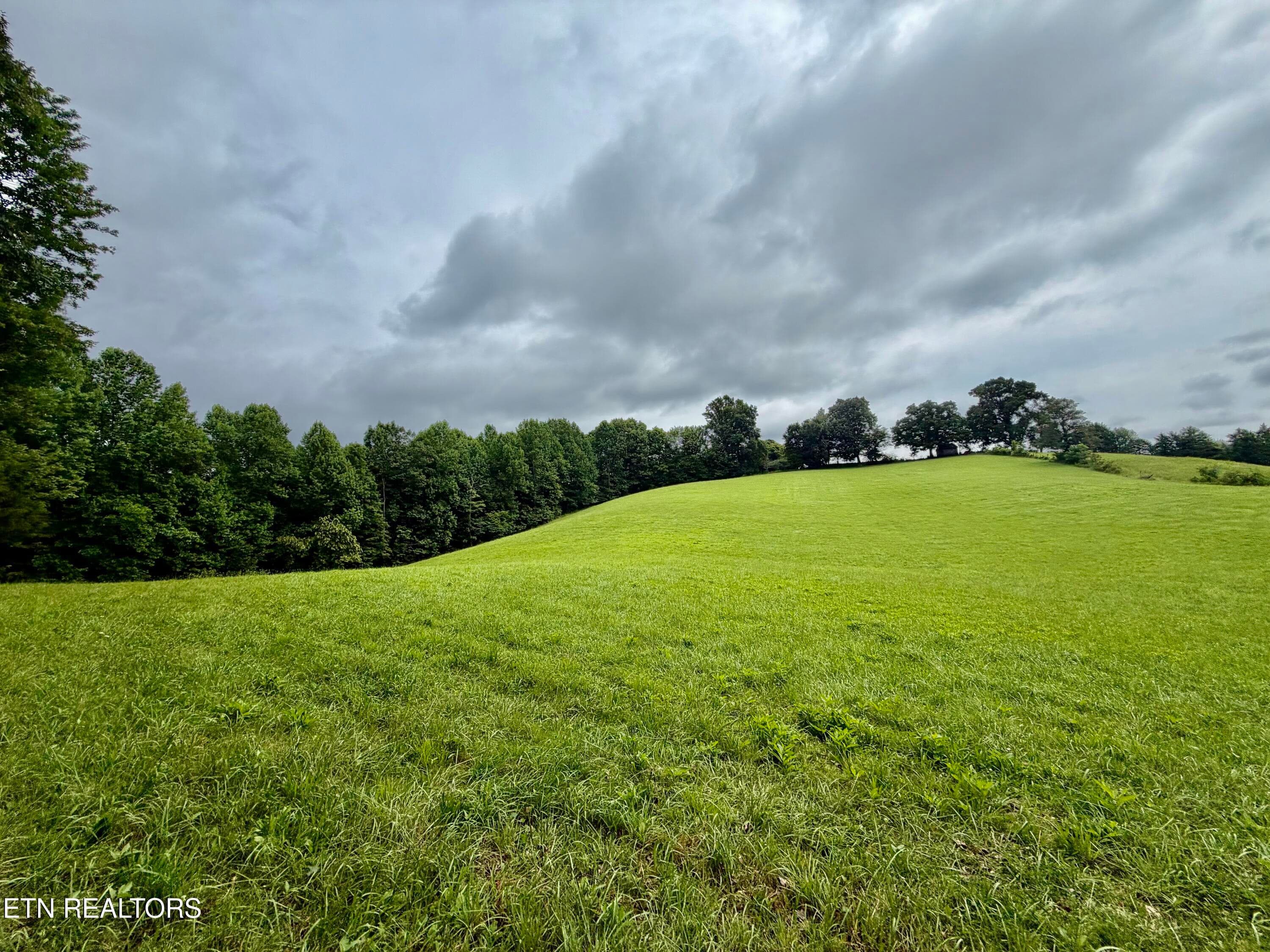 IMG_5126 - 1545 Estes Rd, Tazewell, TN 37879, Tazewell