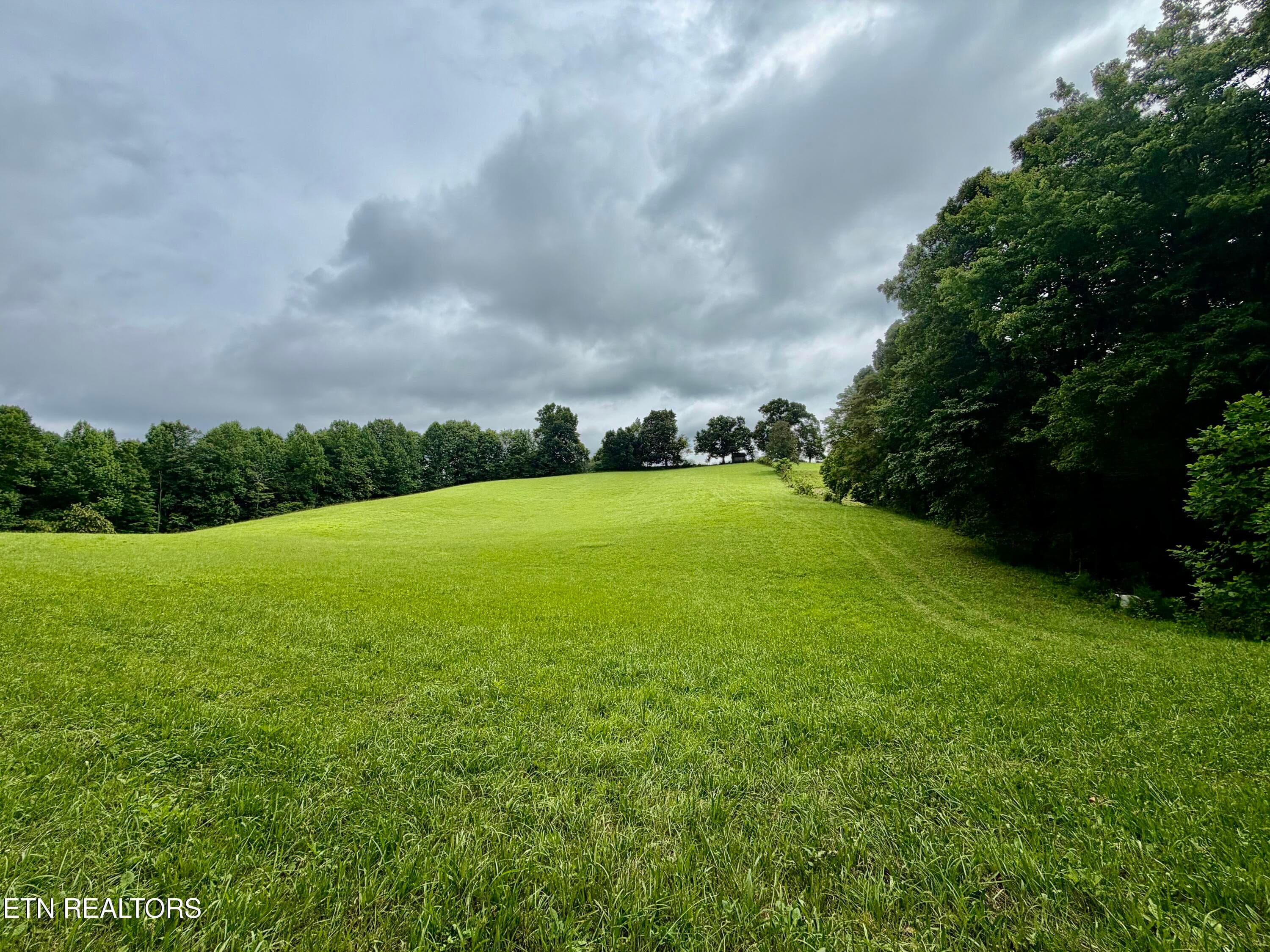 IMG_5124 - 1545 Estes Rd, Tazewell, TN 37879, Tazewell