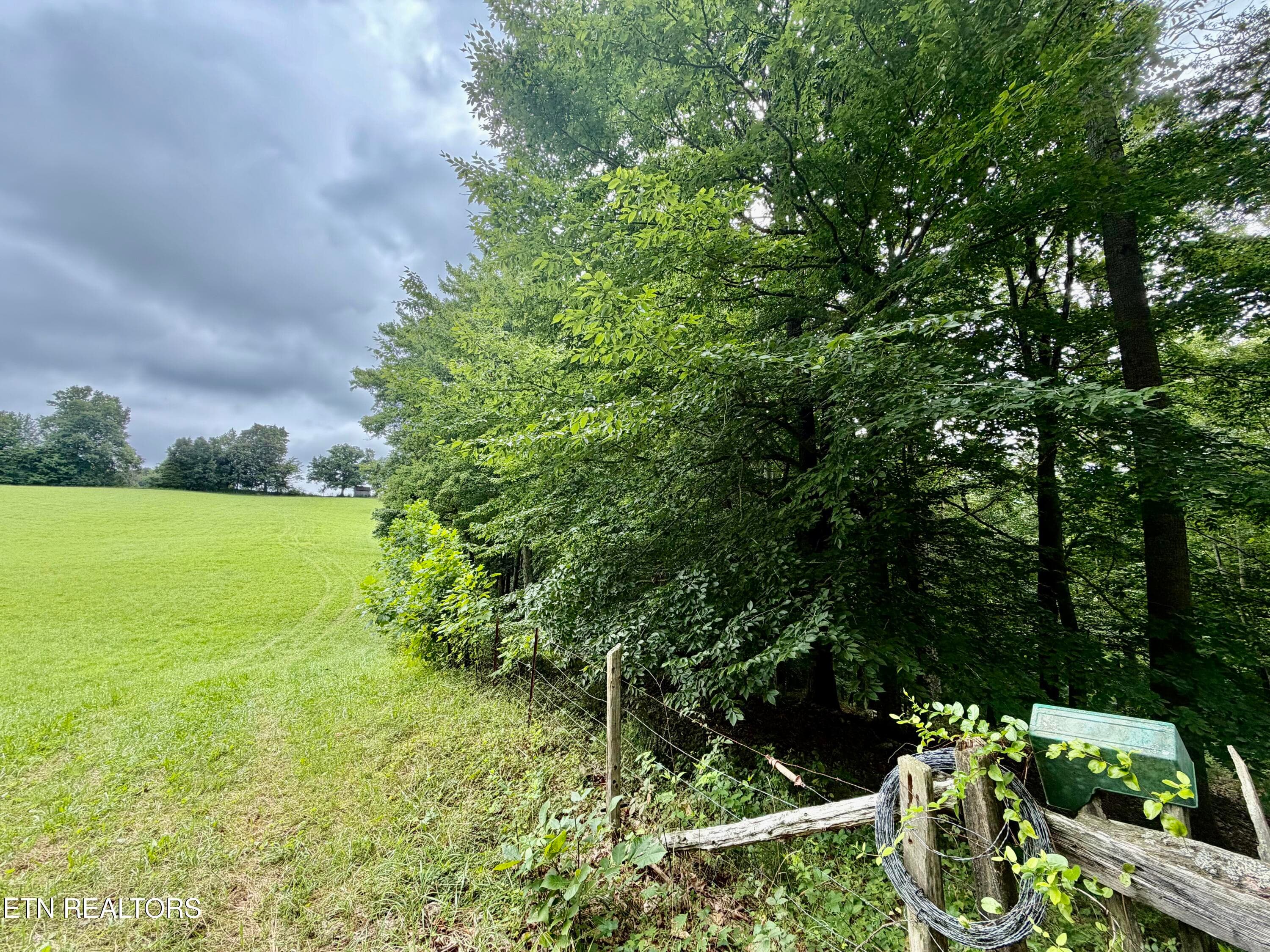 IMG_5123 - 1545 Estes Rd, Tazewell, TN 37879, Tazewell