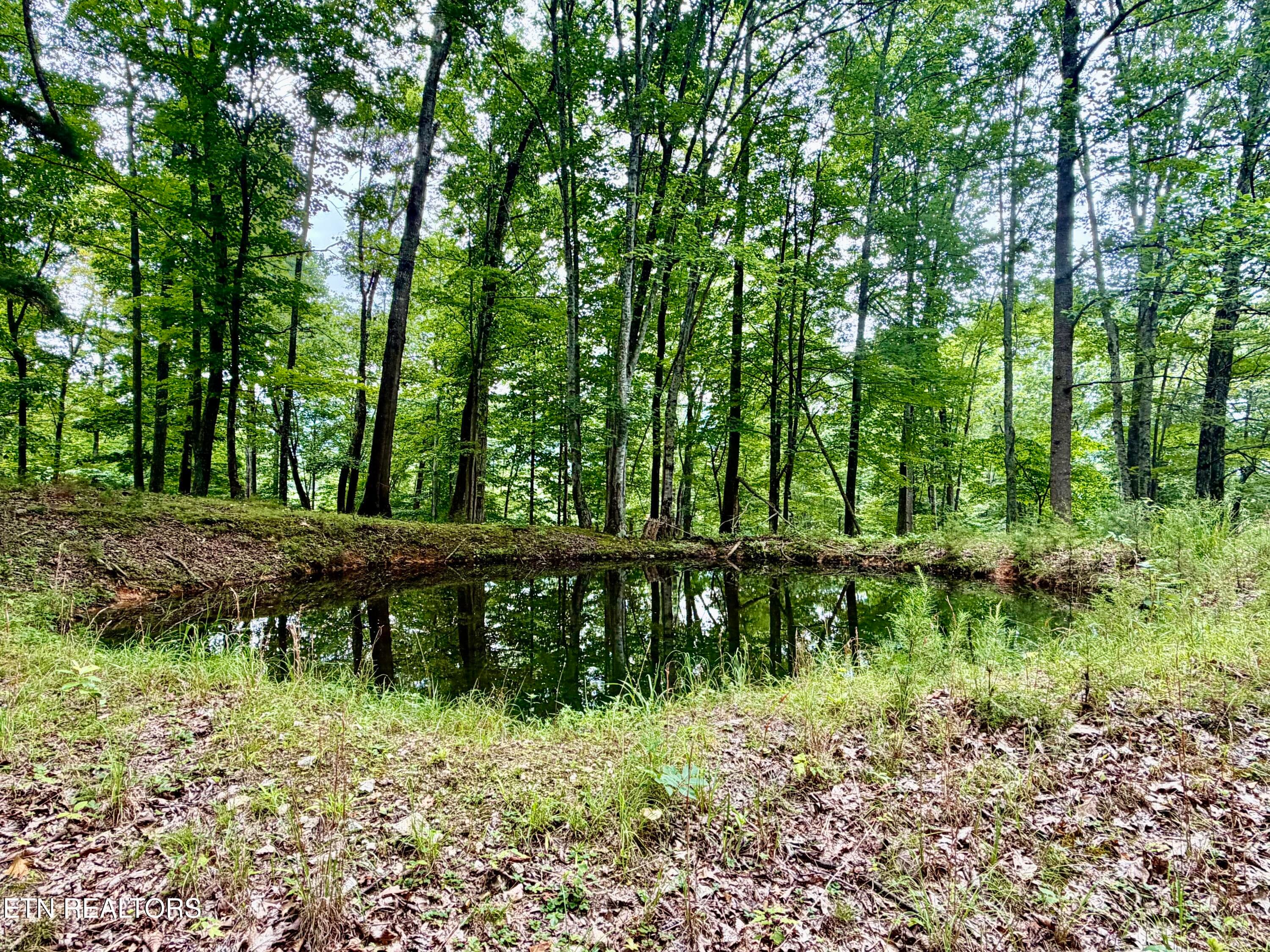 IMG_5120 - 1545 Estes Rd, Tazewell, TN 37879, Tazewell