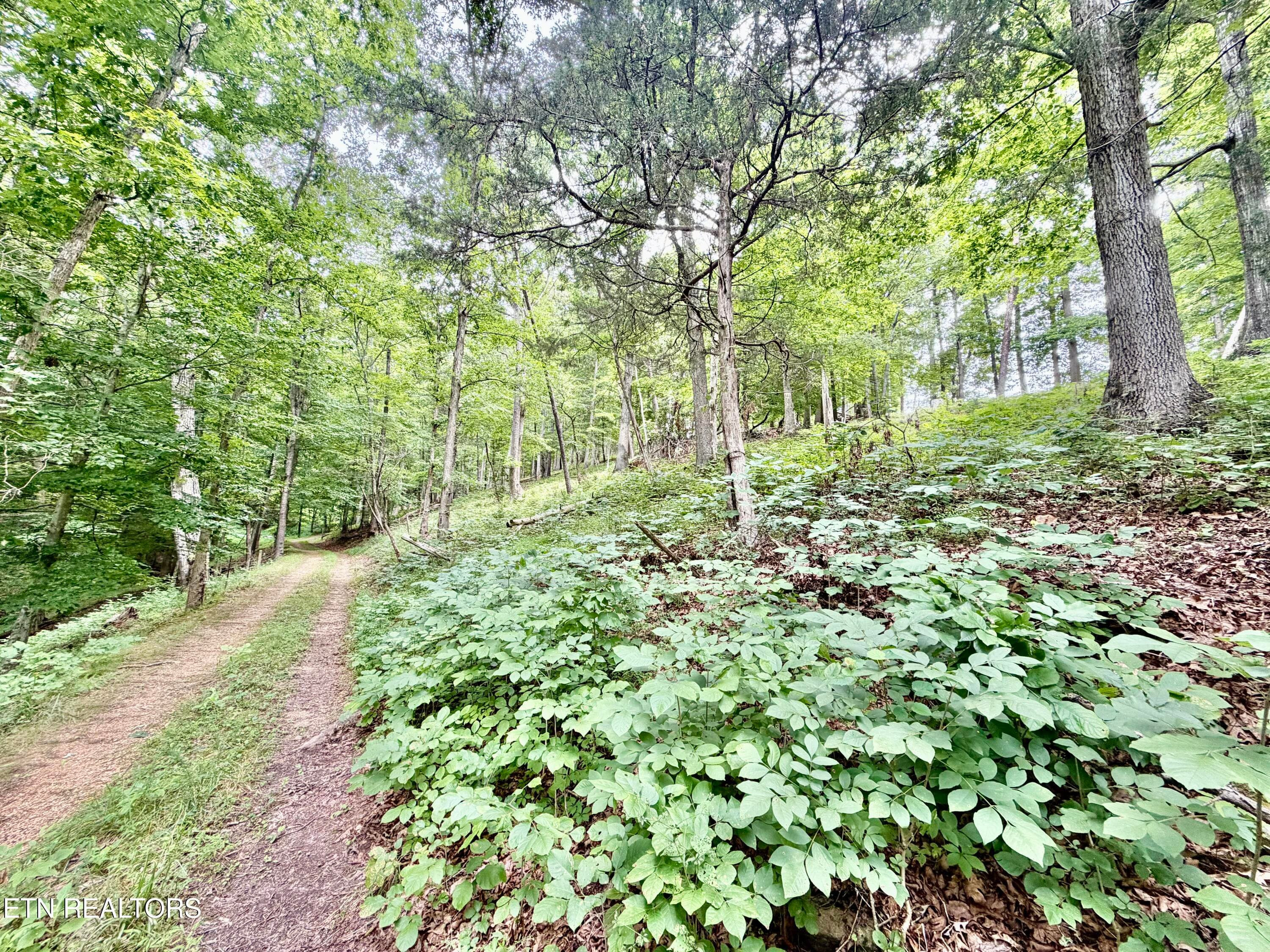 IMG_5113 - 1545 Estes Rd, Tazewell, TN 37879, Tazewell