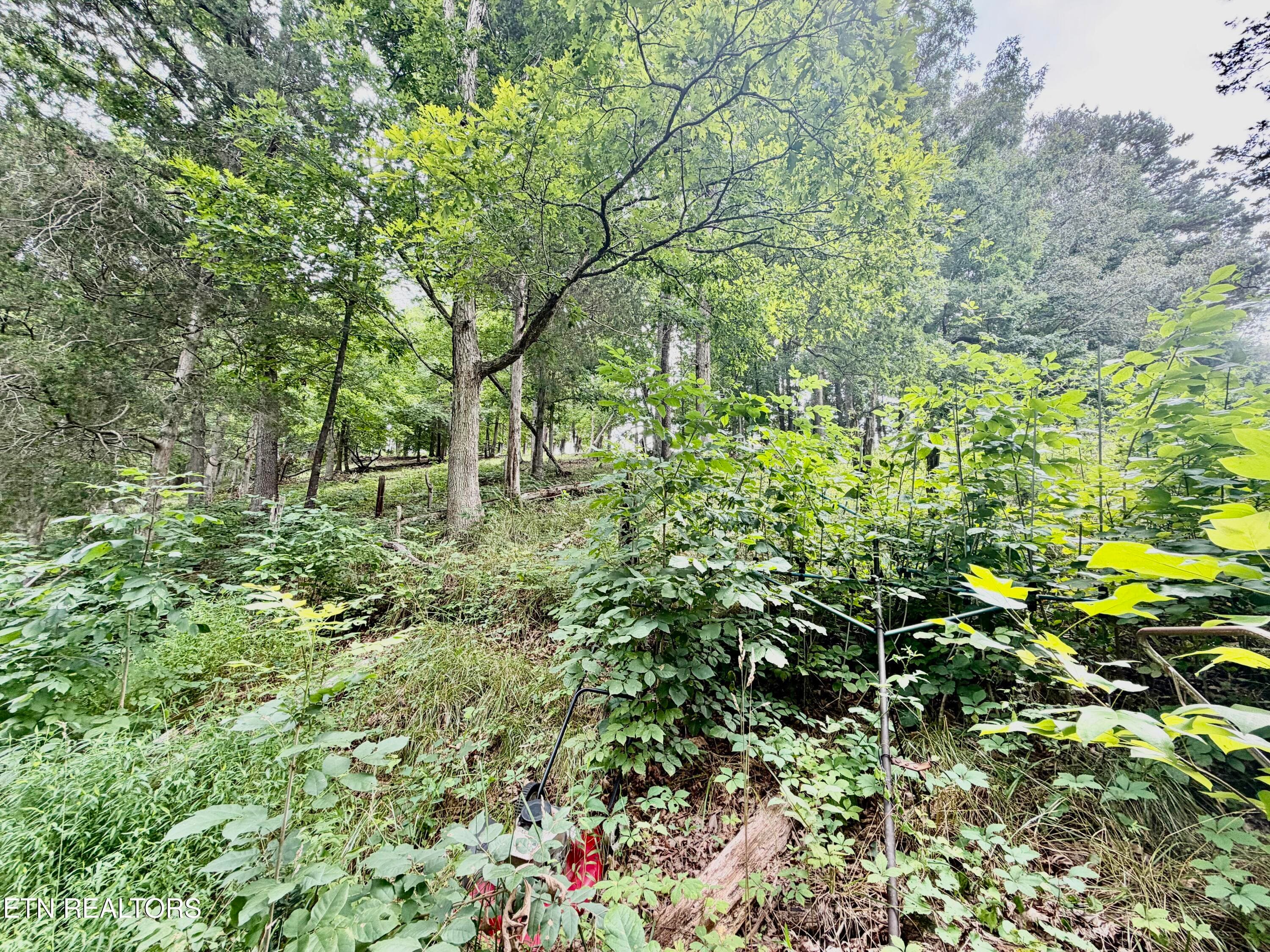 IMG_5112 - 1545 Estes Rd, Tazewell, TN 37879, Tazewell
