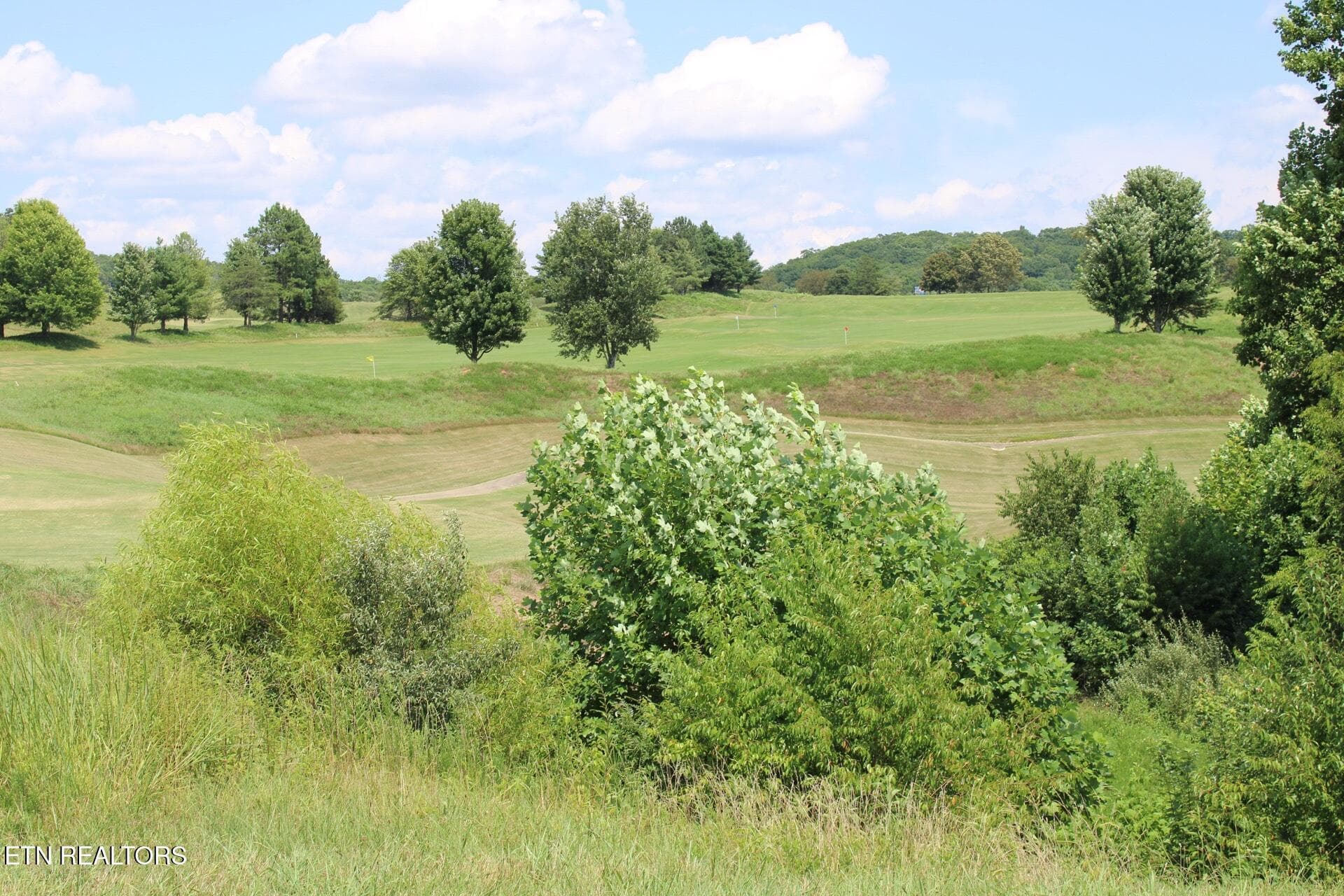 Image (25) - 161 Careen Court, Lenoir City, TN 37772, Lenoir City
