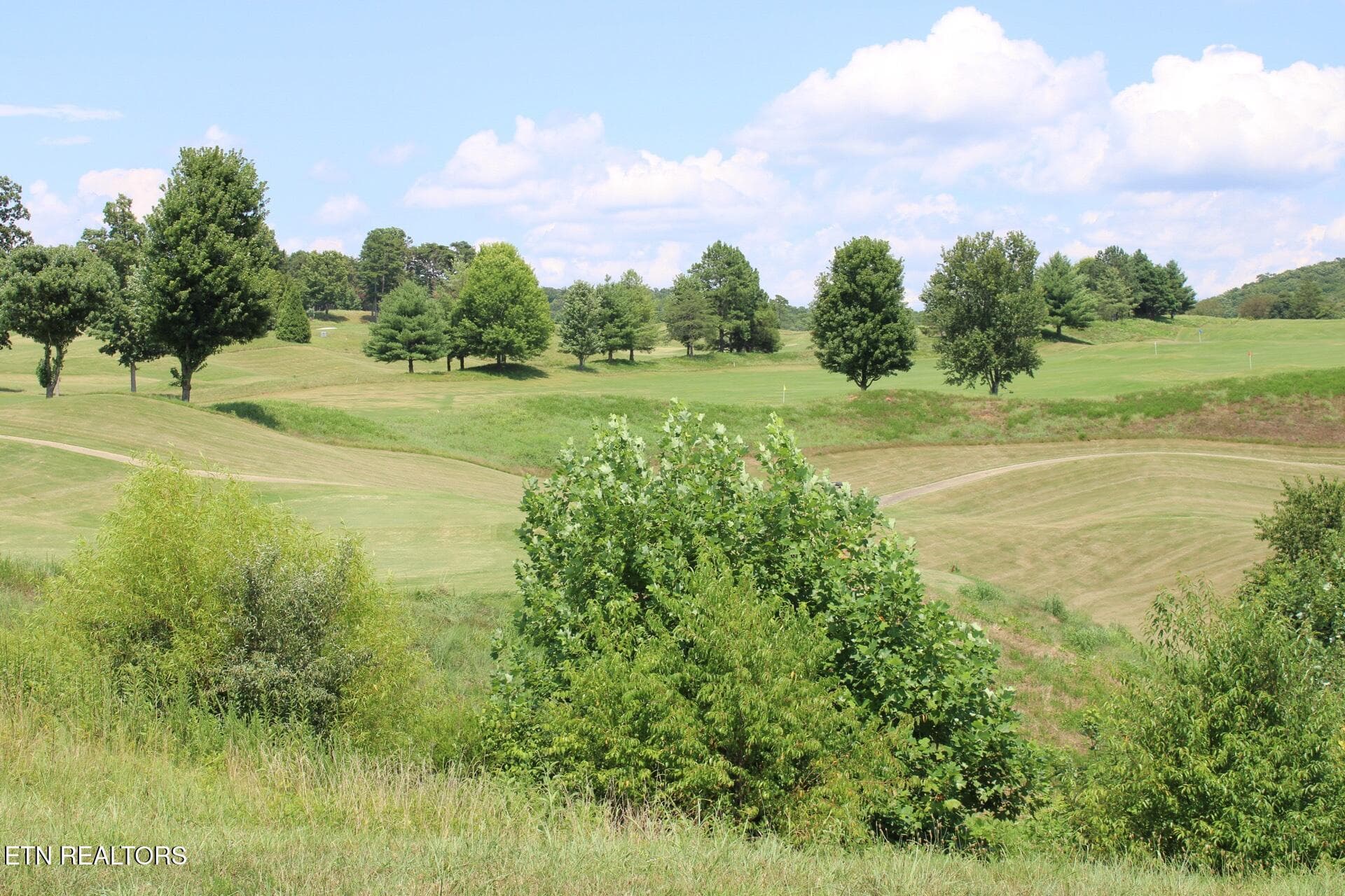 Image (21) - 161 Careen Court, Lenoir City, TN 37772, Lenoir City