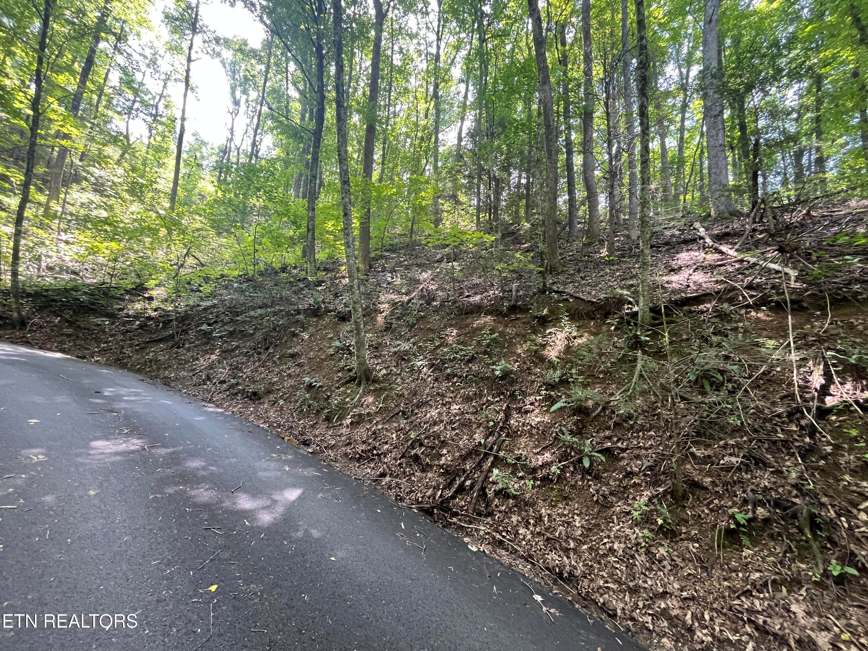 IMG_5780 - Lot 334 Ridgefield Drive, Sevierville, TN 37876
