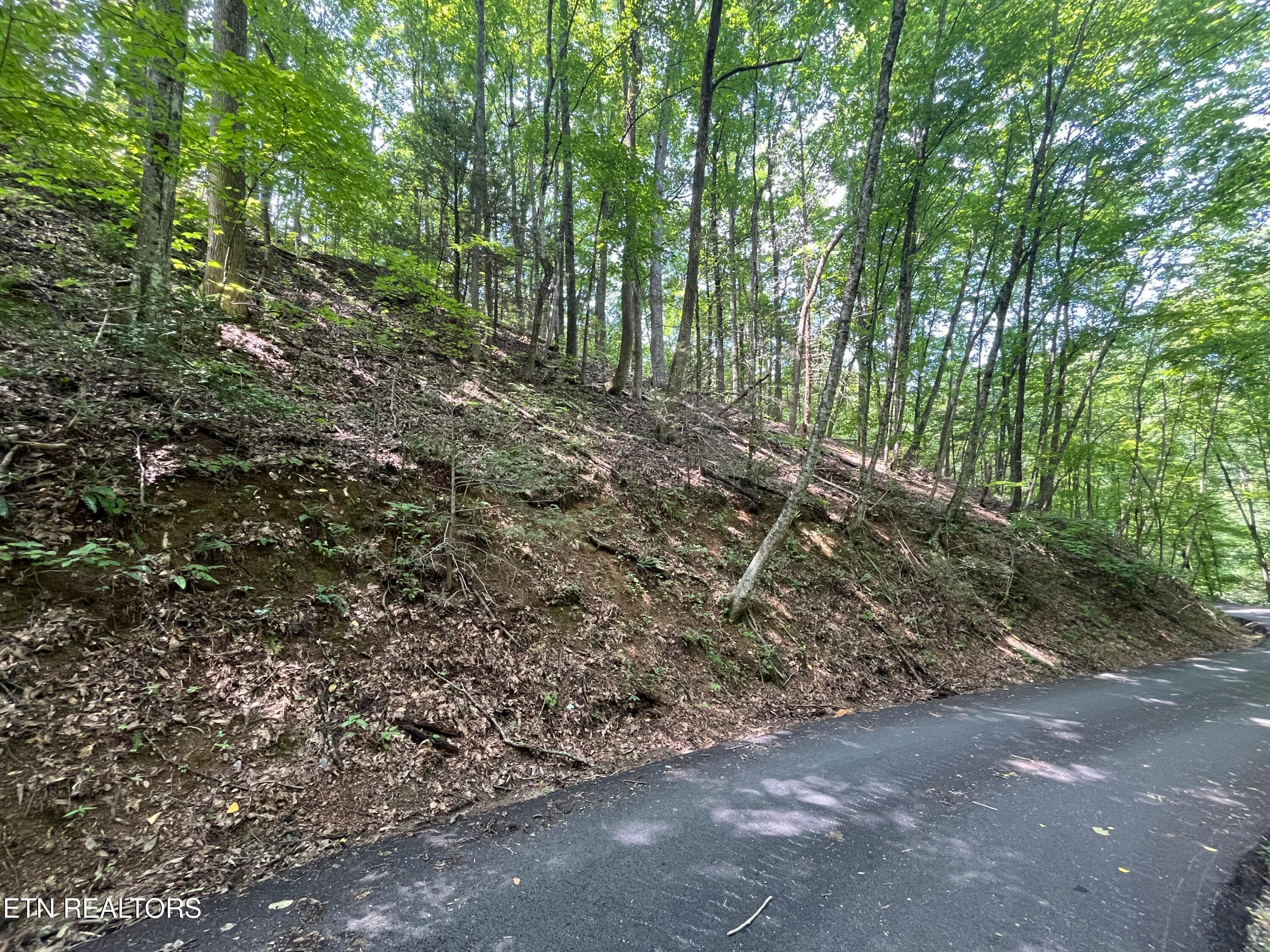 IMG_5778 - Lot 334 Ridgefield Drive, Sevierville, TN 37876