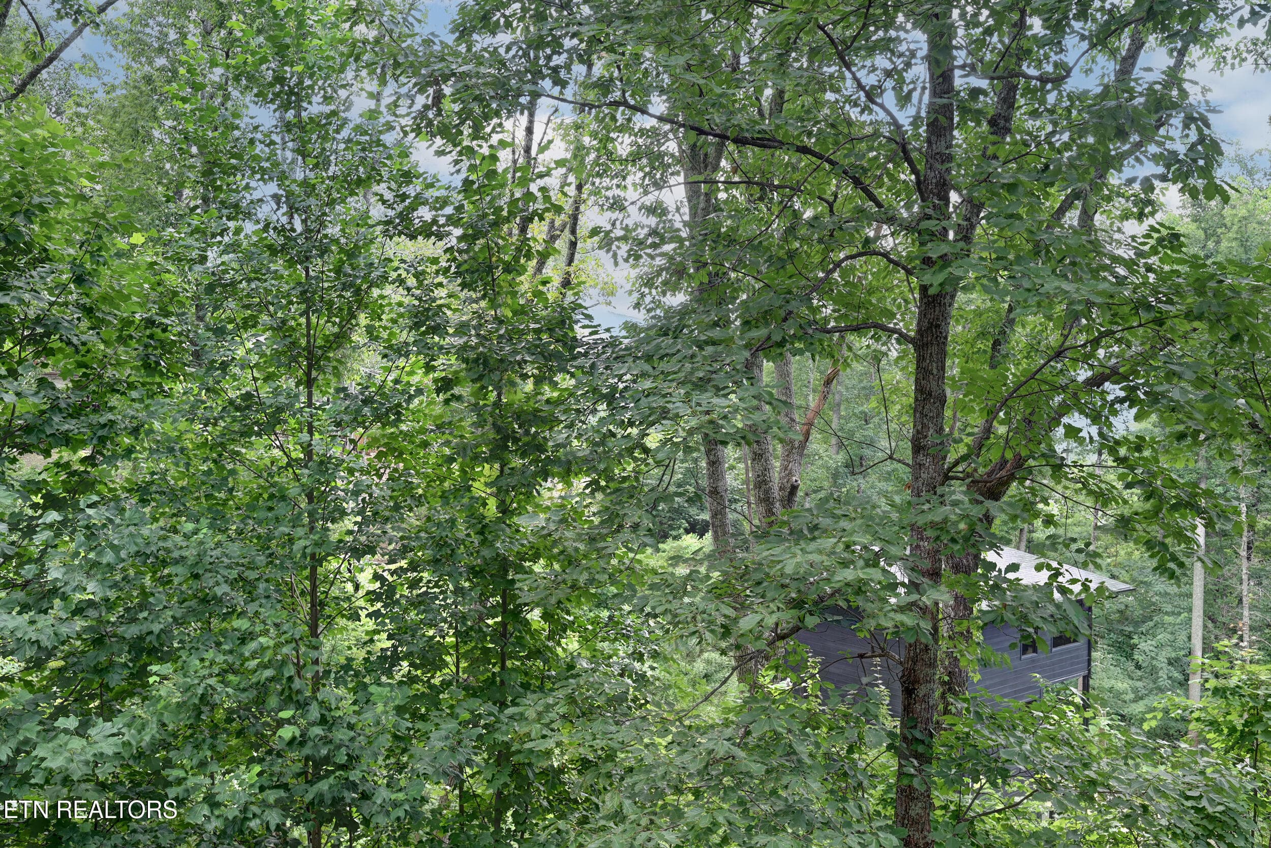 Outside pic - 917 Pine Cone Way, Gatlinburg, TN 37738, Gatlinburg