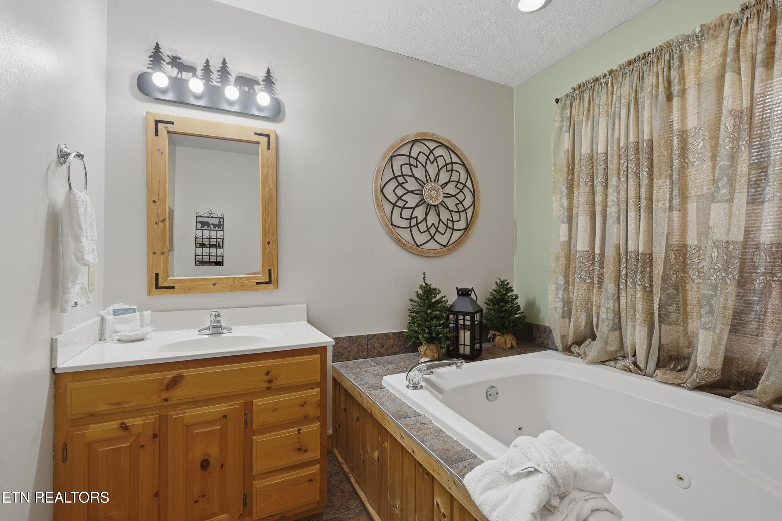 Bathroom-lower level - 917 Pine Cone Way, Gatlinburg, TN 37738, Gatlinburg