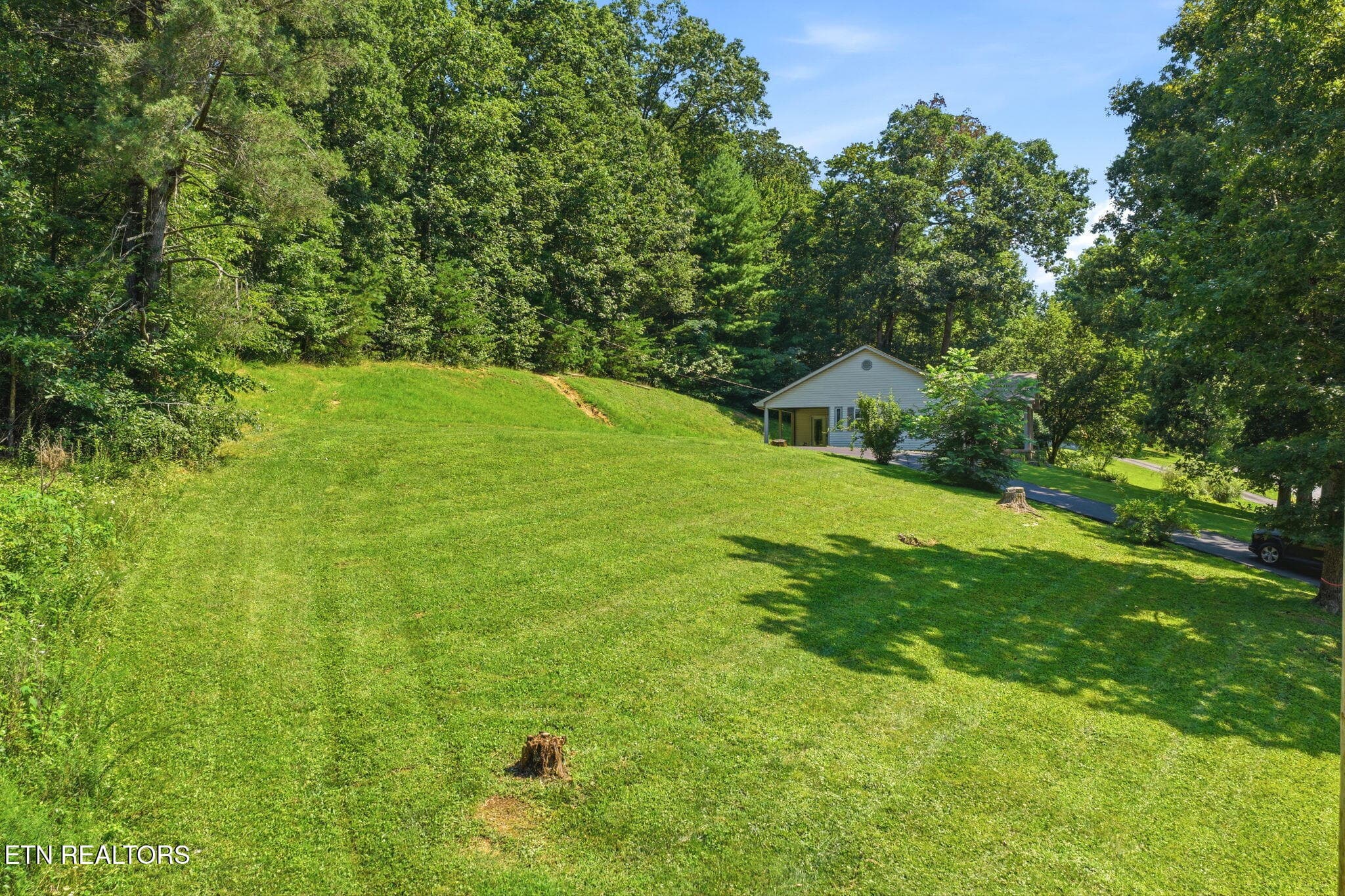 55-web-or-mls-025_241 Skyline-099 - Skyline Drive, Oneida, TN 37841