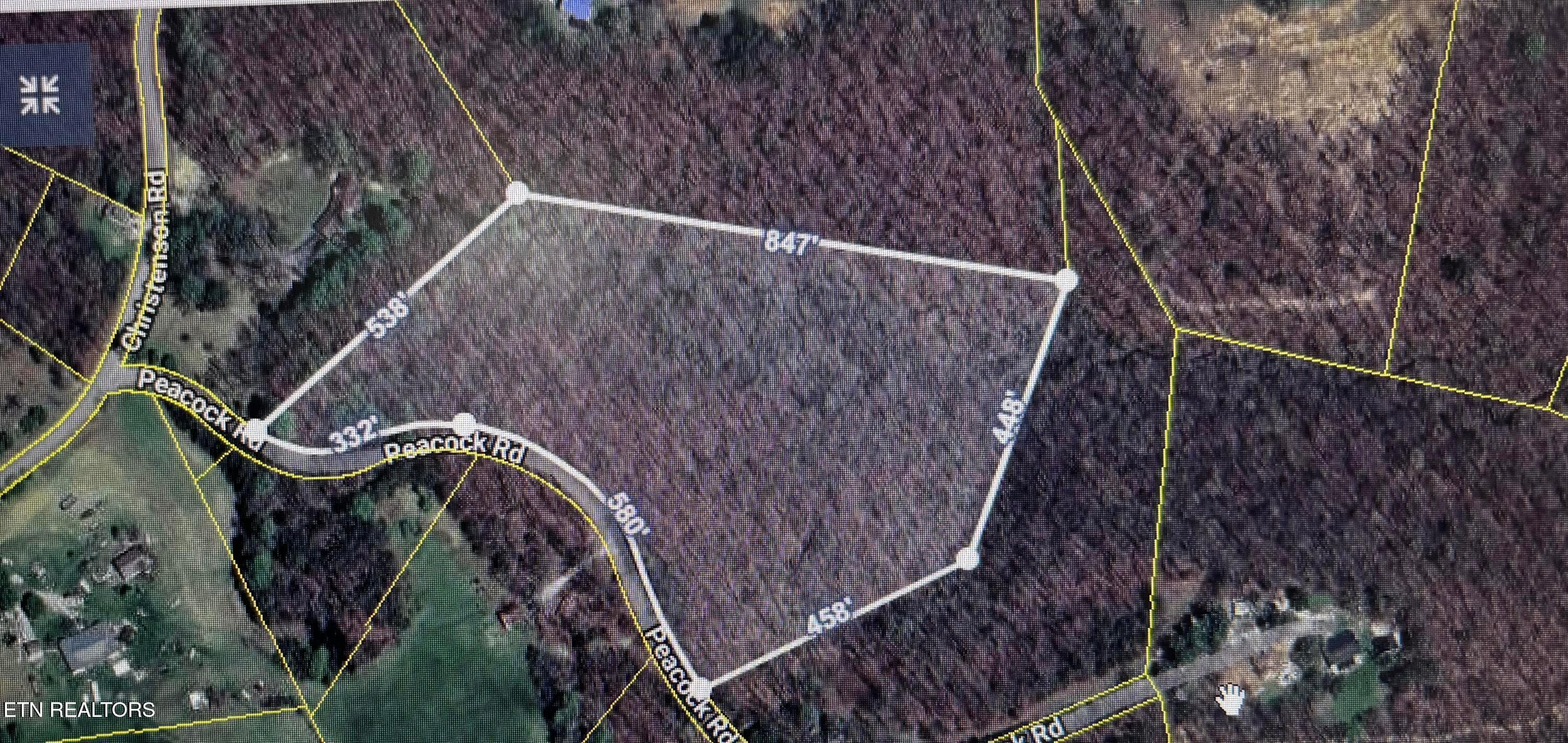 Peacock Rd, Deer Lodge, TN 37726