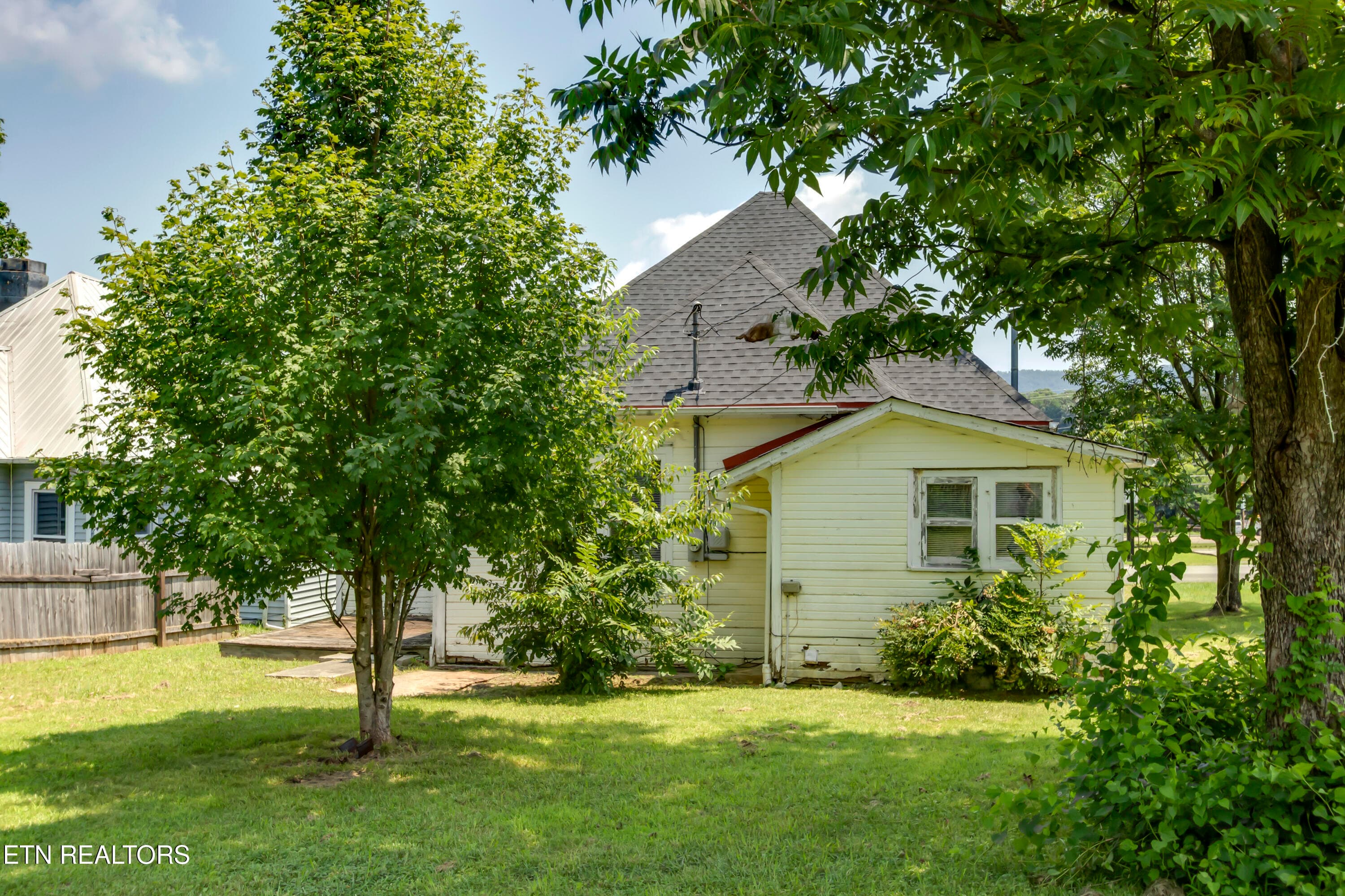 38_OhioAvenue_914_BackLeft - 914 Ohio Ave, Etowah, TN 37331