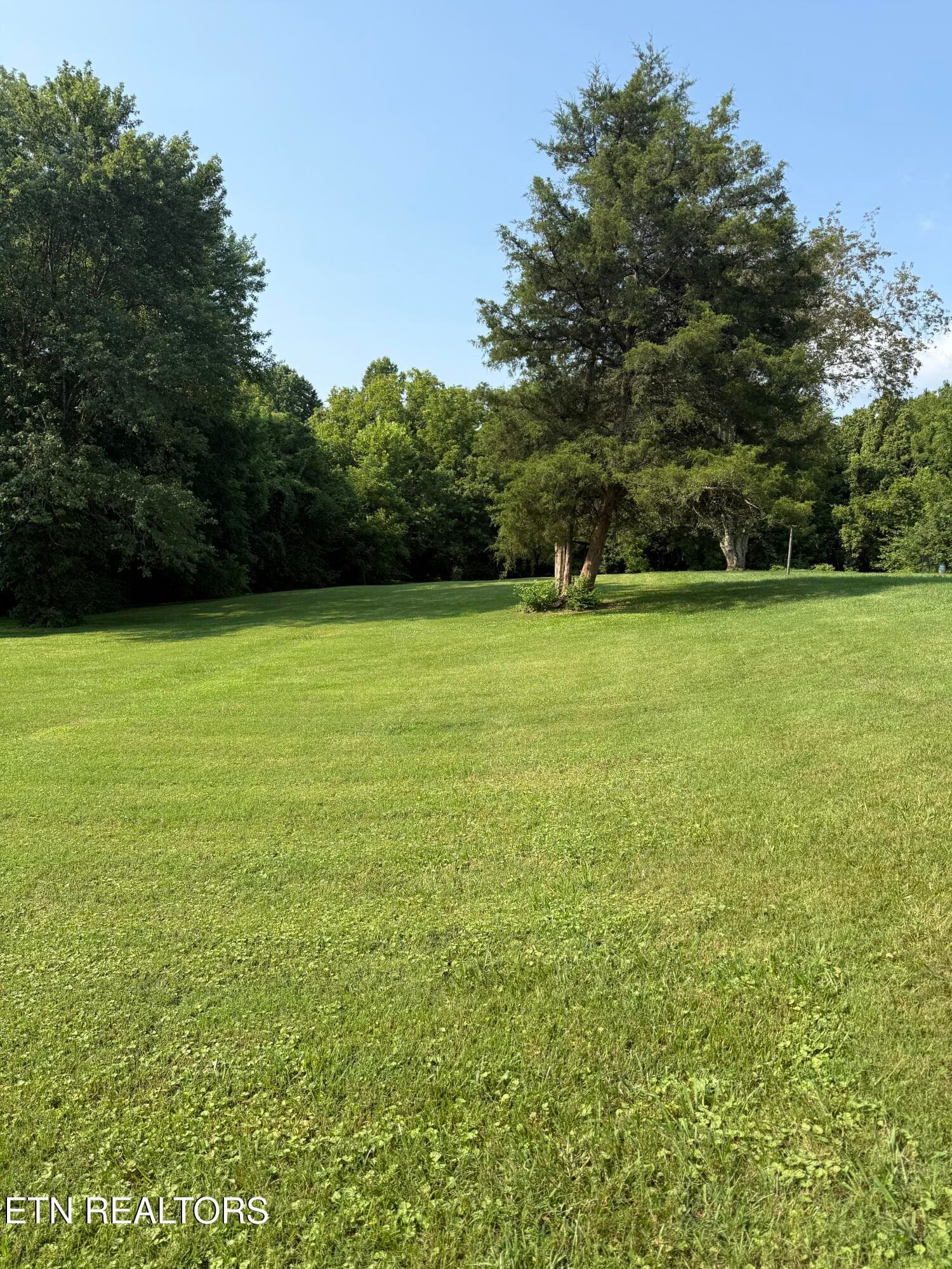 IMG_8626 - 9504 Johnson Rd, Strawberry Plains, TN 37871, Strawberry Plains