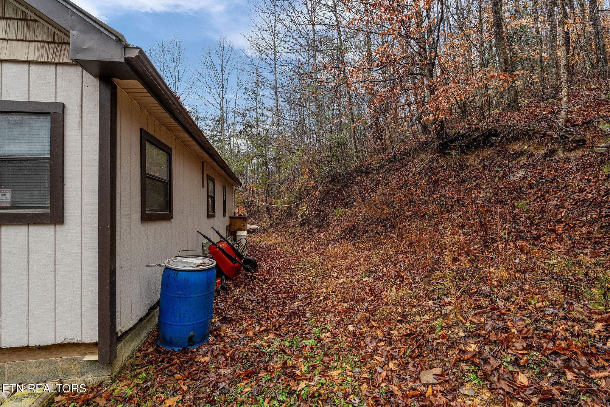 DSC02086 - 7300 Snake Hollow Rd, Sneedville, TN 37869