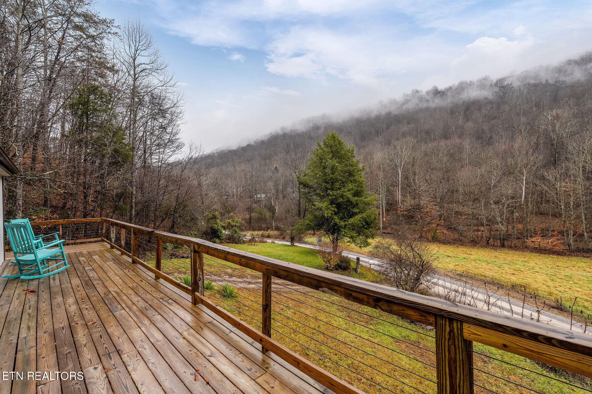 DSC02089 - 7300 Snake Hollow Rd, Sneedville, TN 37869