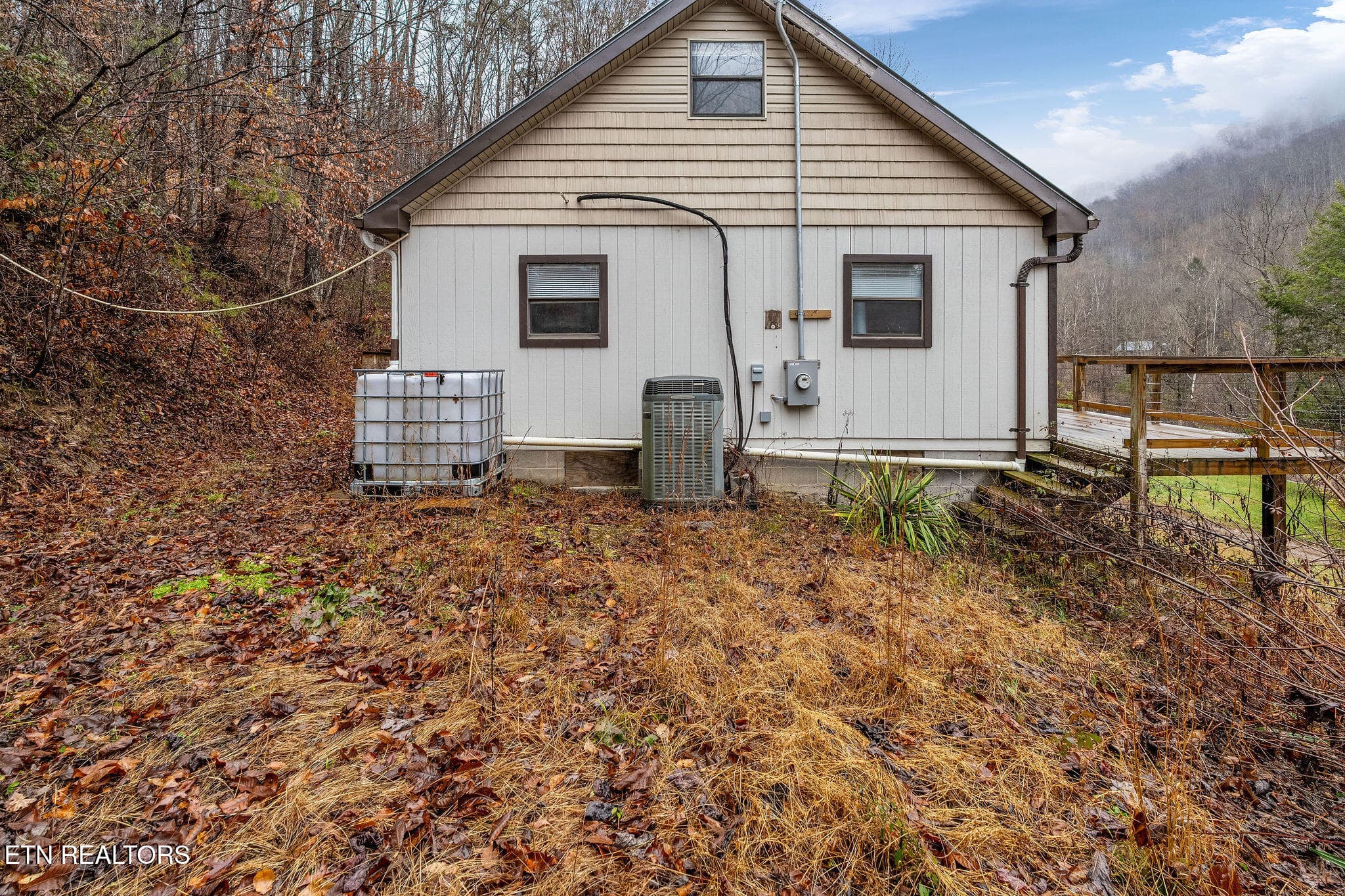 DSC02093 - 7300 Snake Hollow Rd, Sneedville, TN 37869