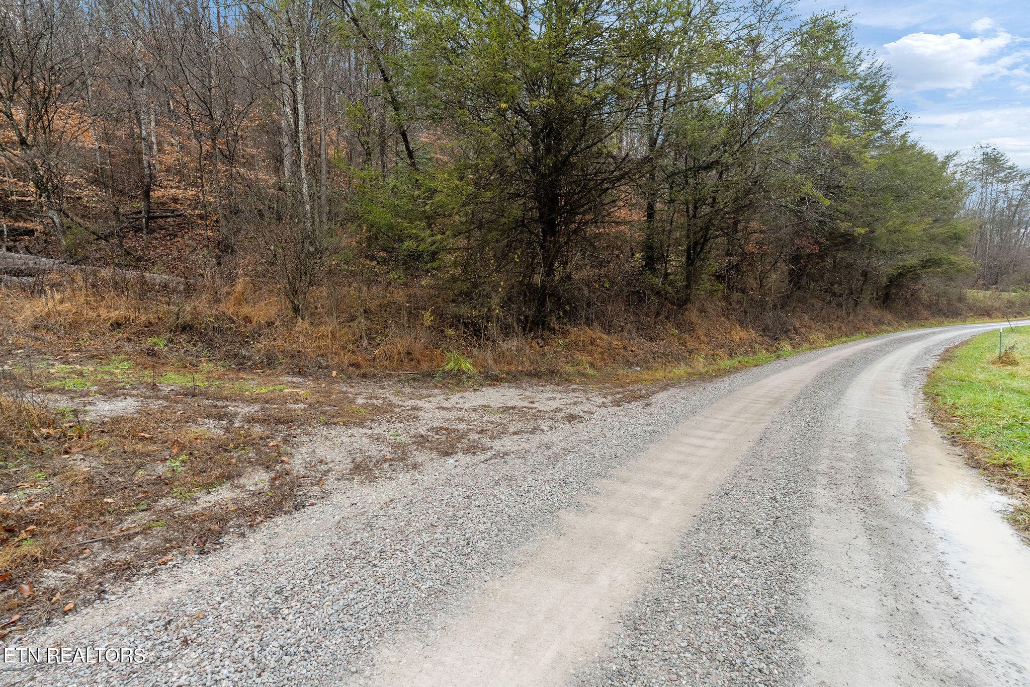 DSC02097 - 7300 Snake Hollow Rd, Sneedville, TN 37869