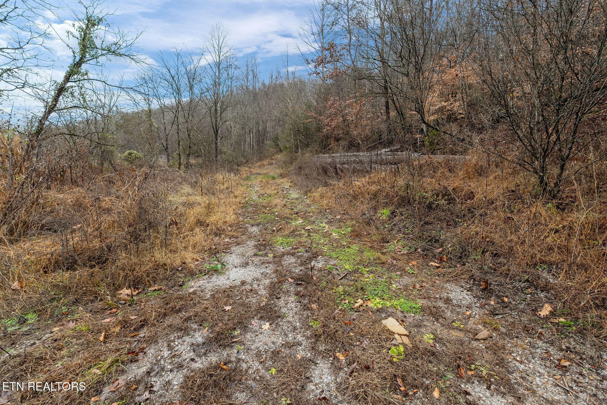 DSC02098 - 7300 Snake Hollow Rd, Sneedville, TN 37869